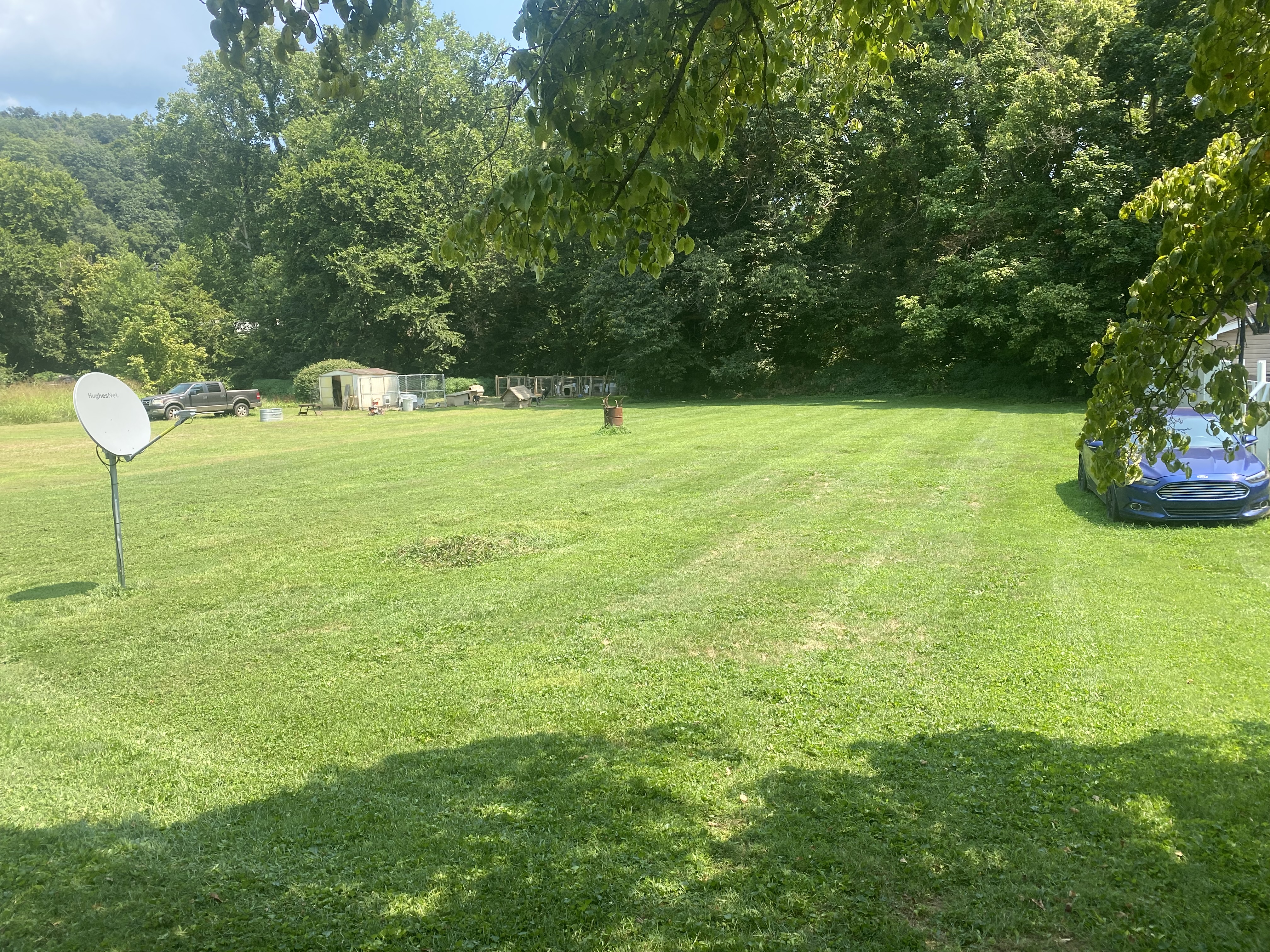 Avatar for Betts lawn care