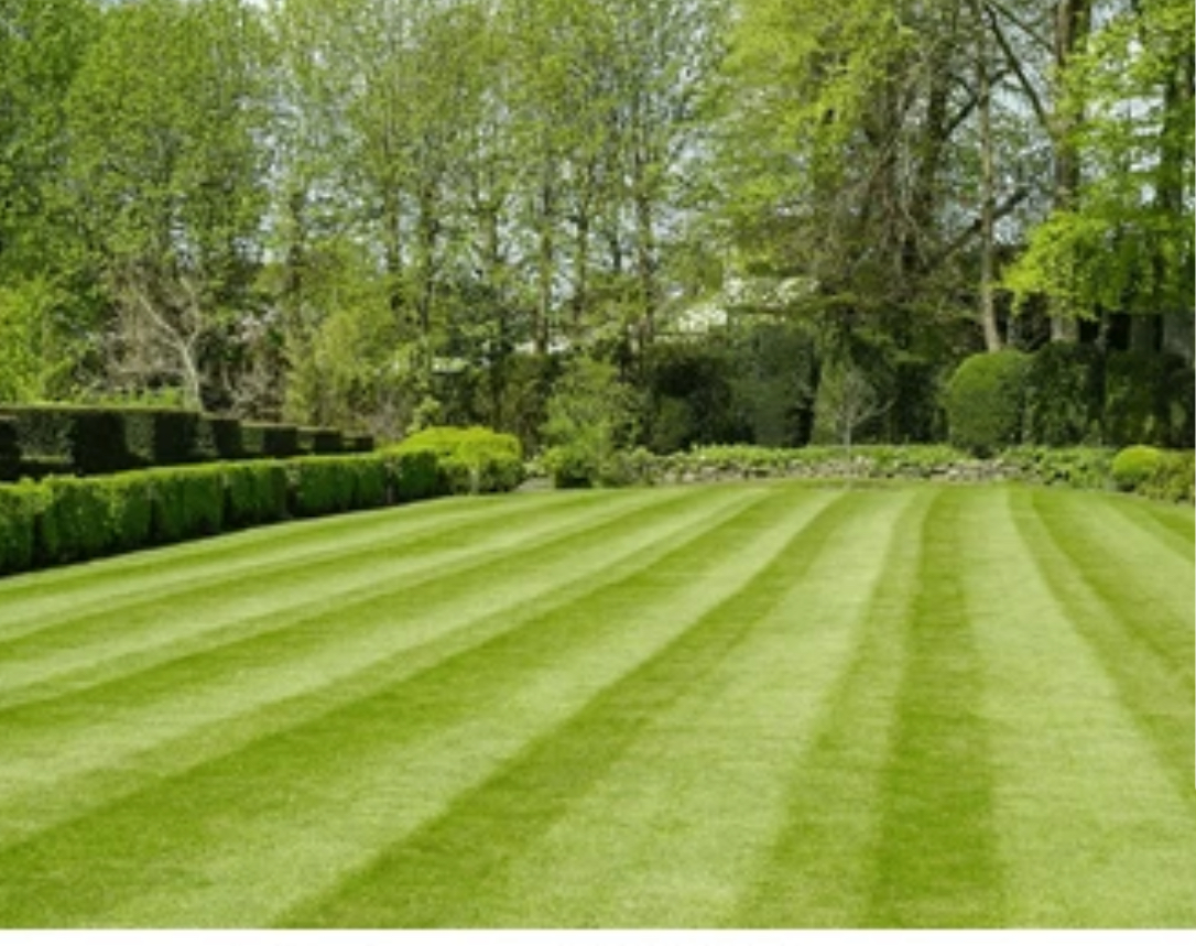 C and P landscaping logo