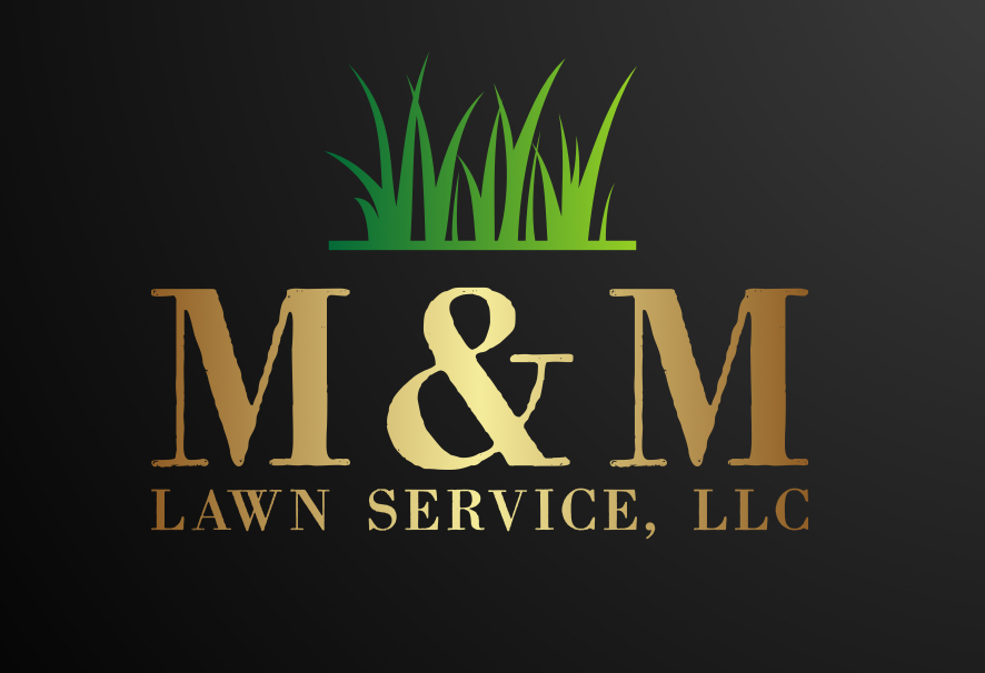 Avatar for M&M Lawn Services, LLC
