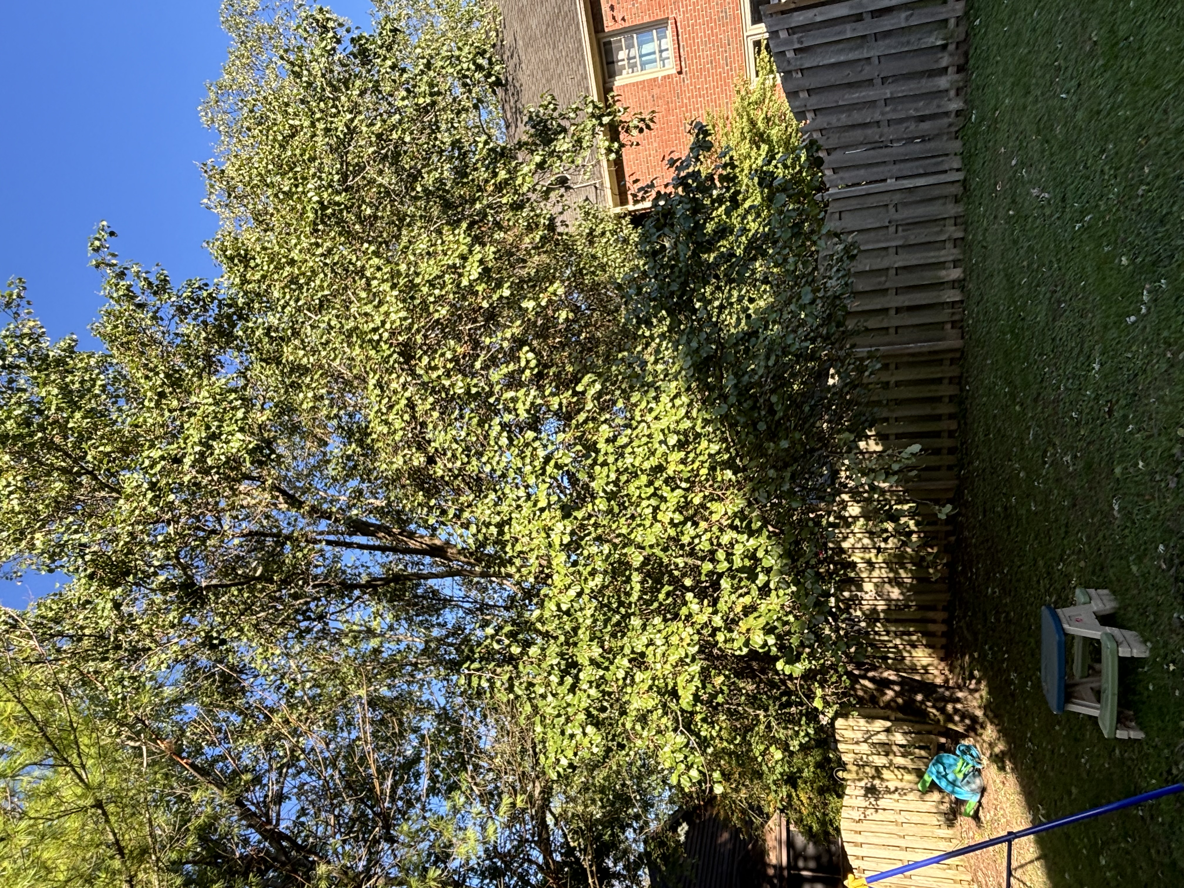 K&B Tree Service L.L.C. logo