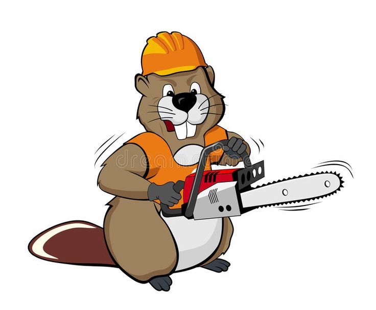 Castores maintenance logo