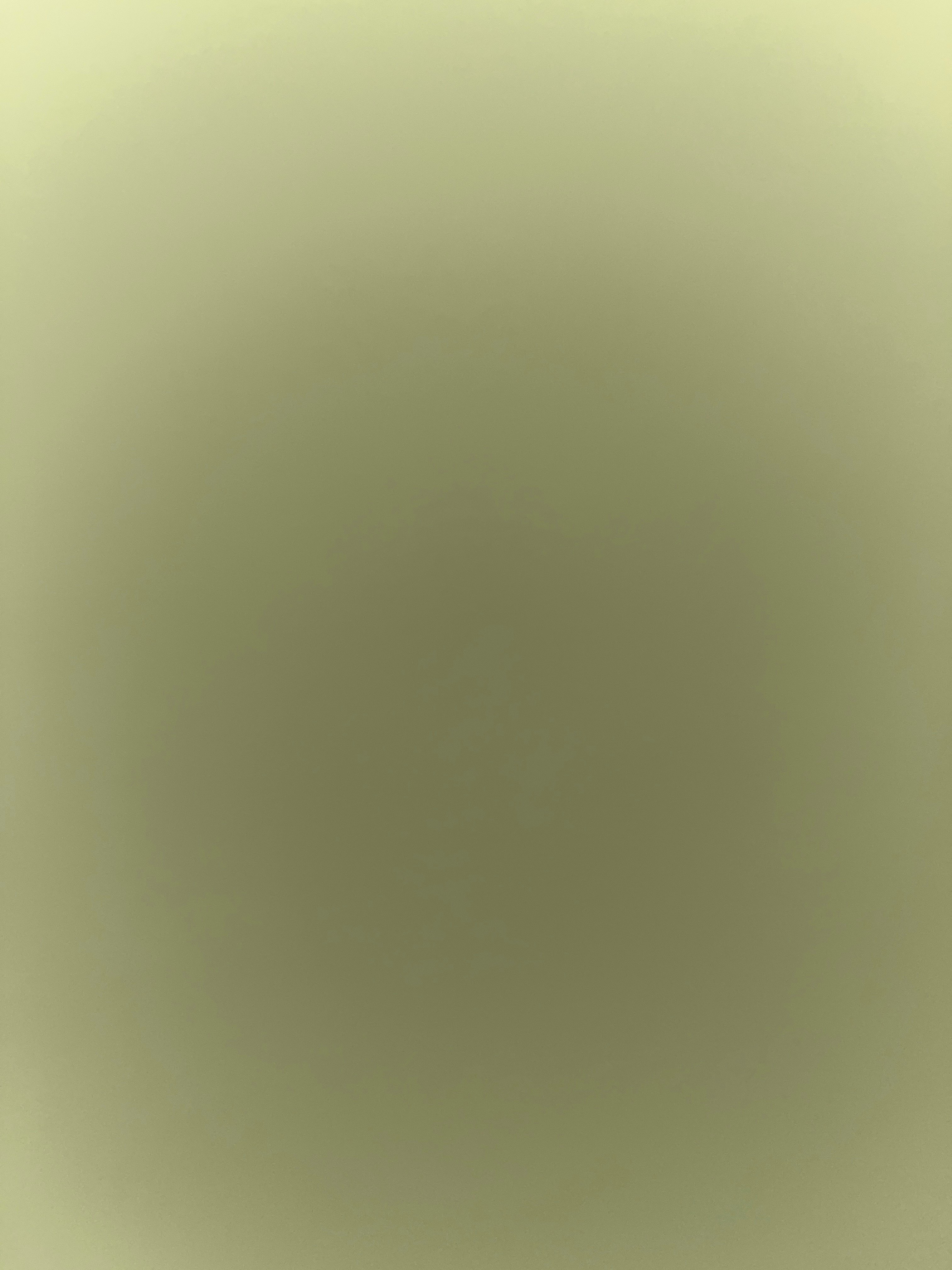 Avatar for Rose’s Clean-ups