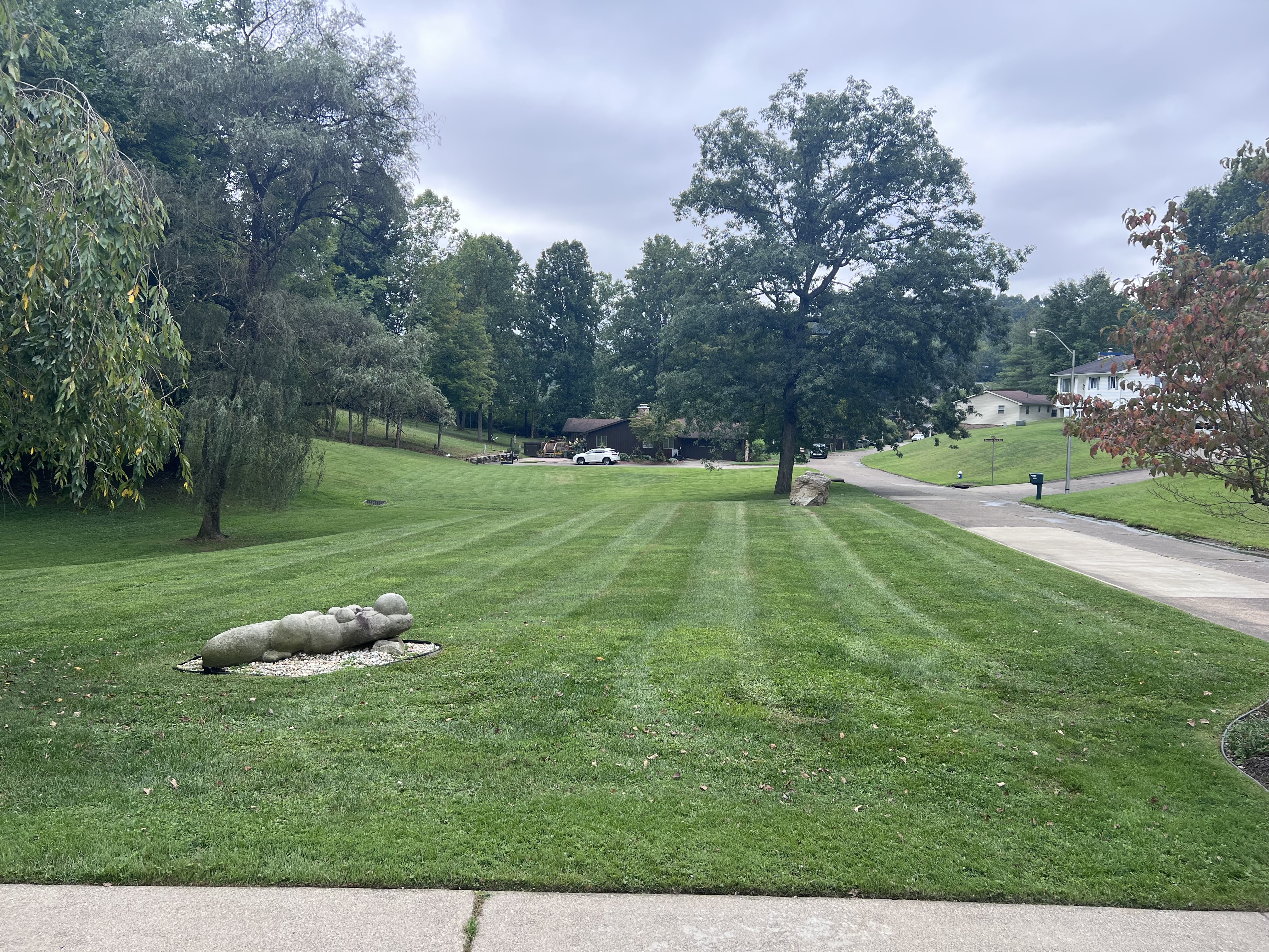 St.Clair landscaping logo