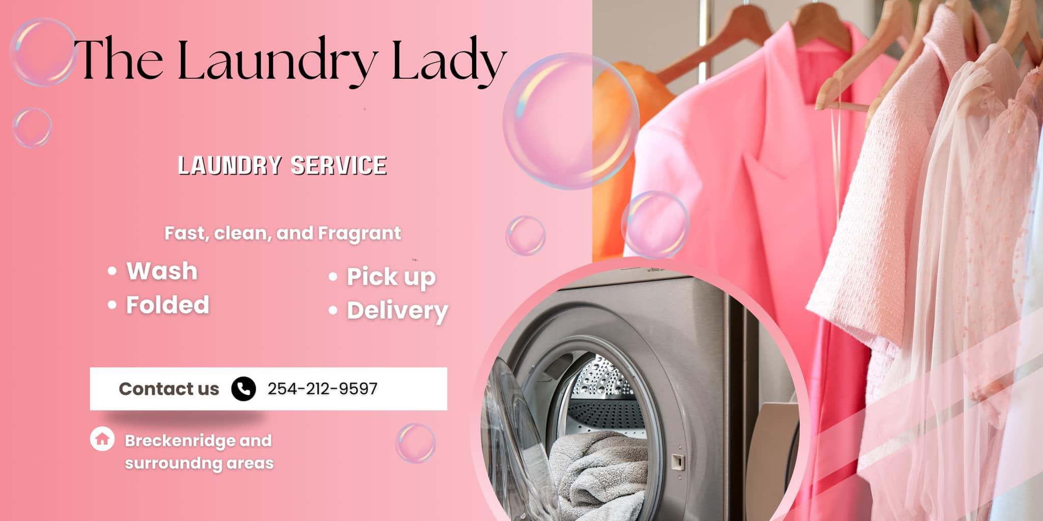 The Laundry Lady logo