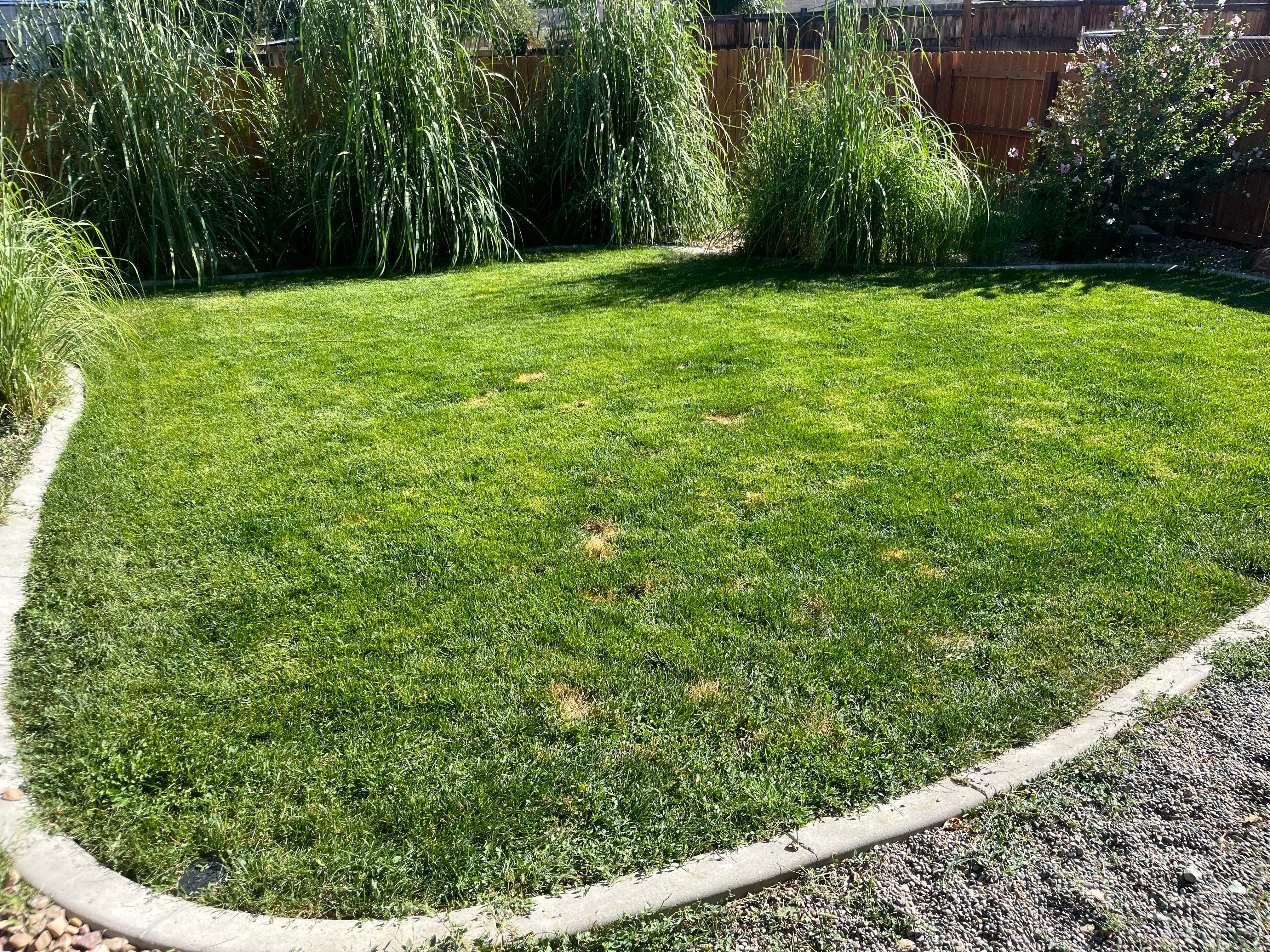 Avatar for Ethan‘s lawn maintenance