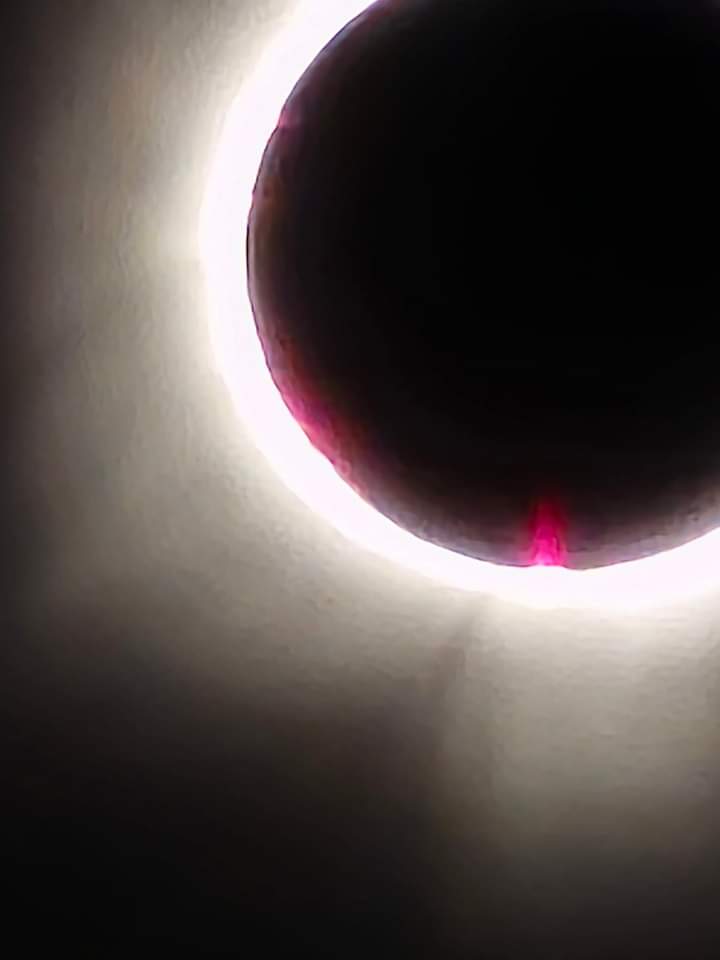 Avatar for All-star Painting