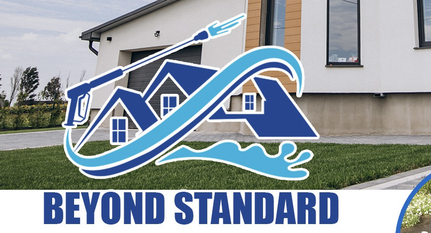Beyond Standard logo
