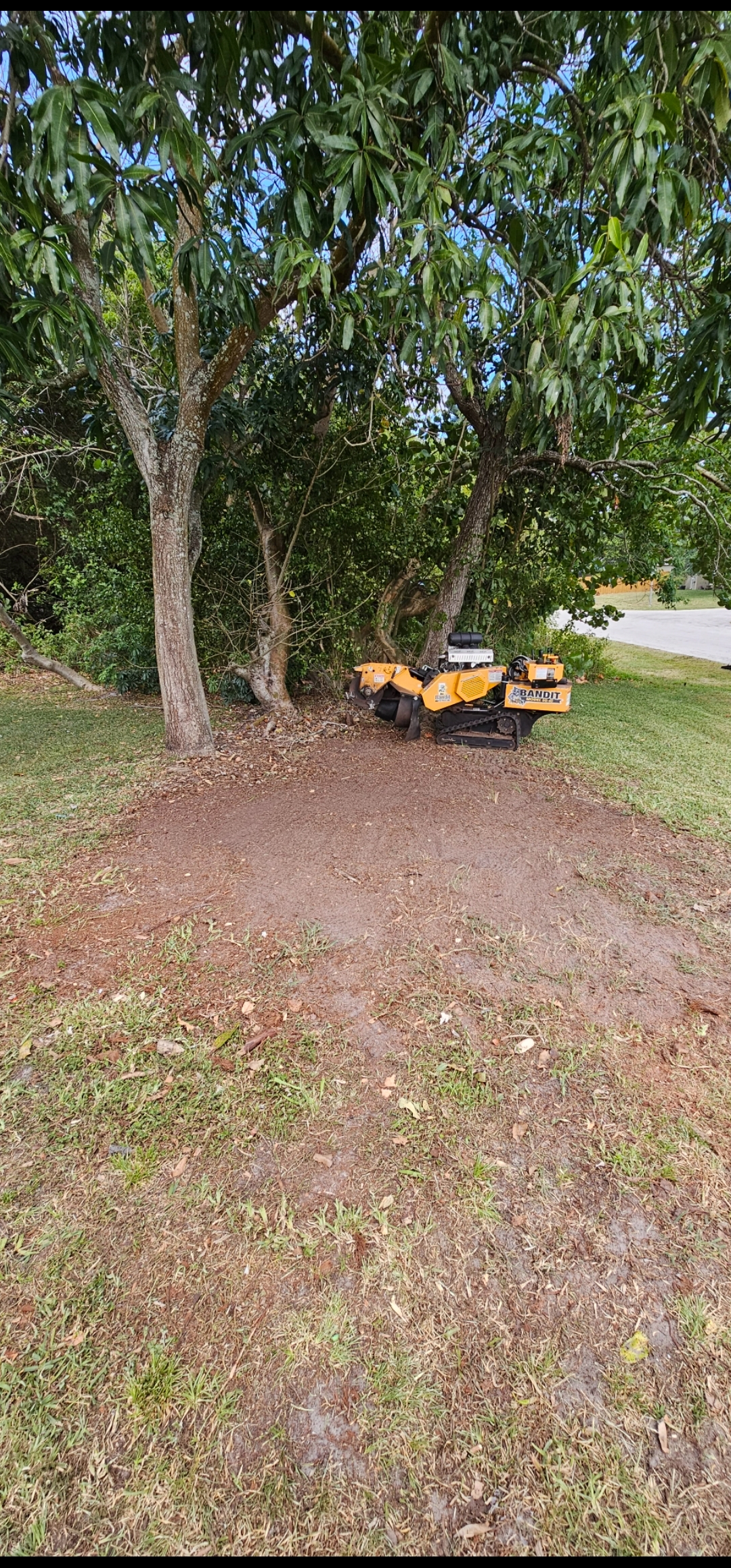 Avatar for LowDown Stump Grinding