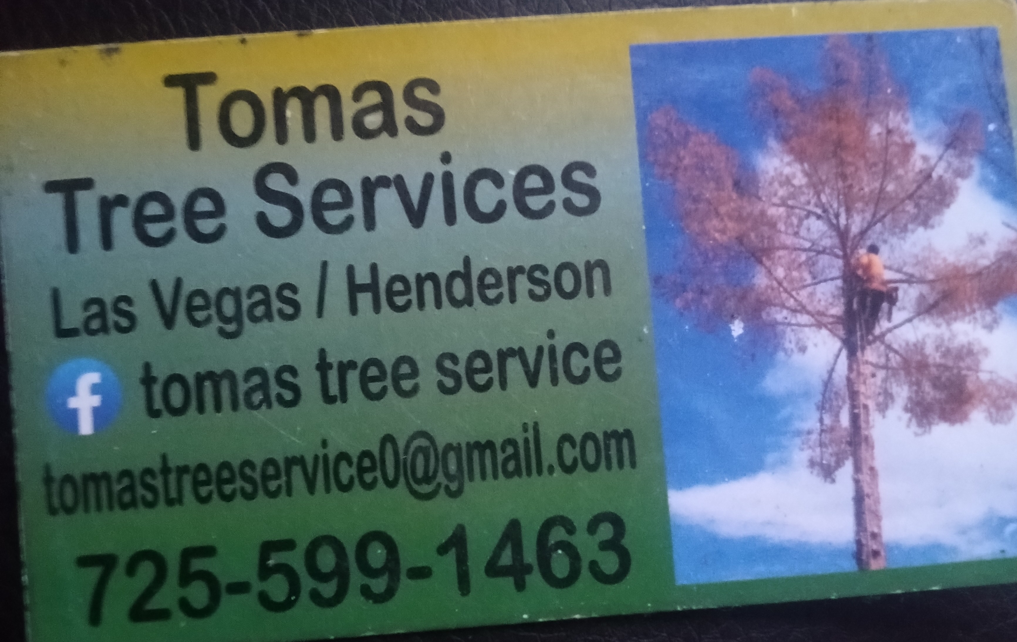 Tomas tree service logo