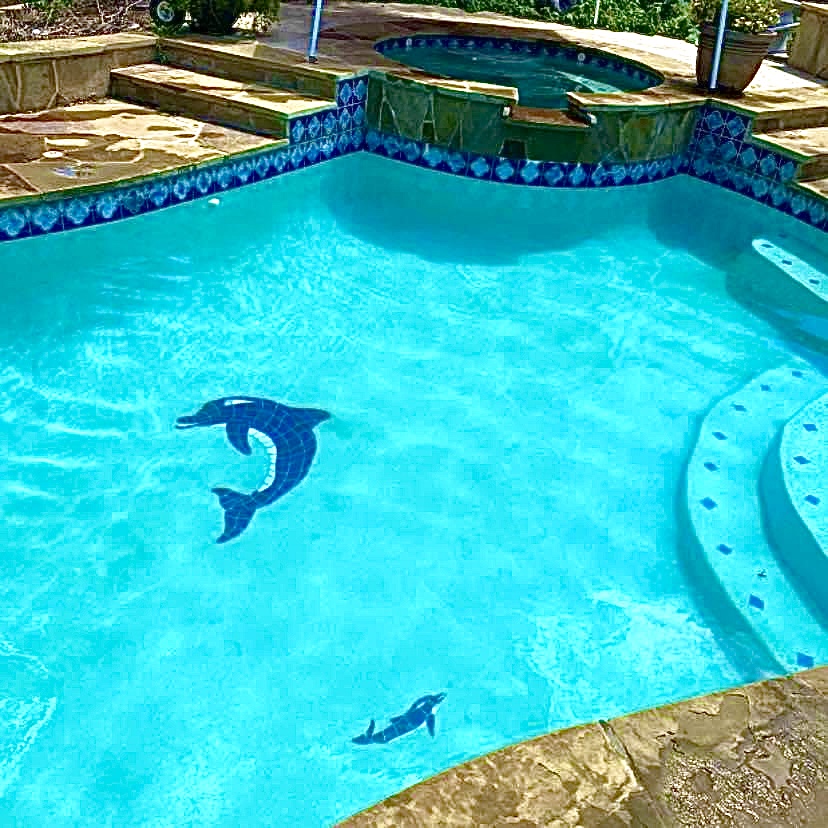Avatar for DK Pool Services LLC