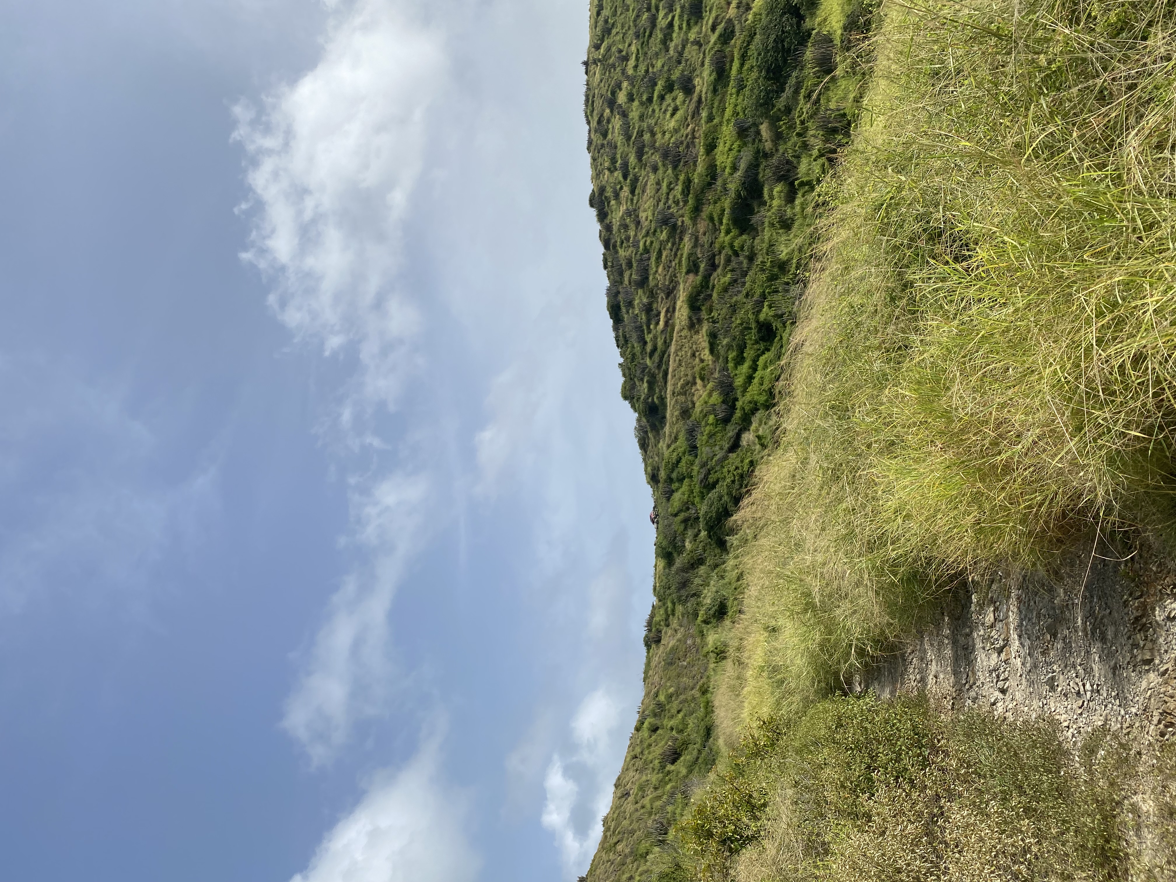 Avatar for Brown Outdoor Services