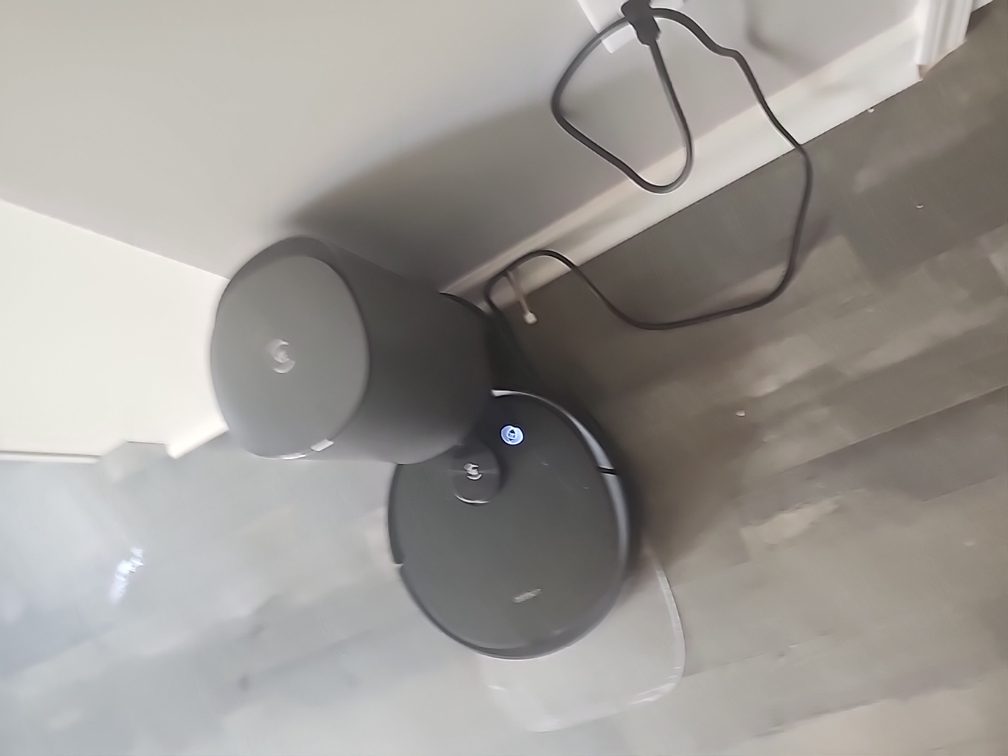 Avatar for Grace painting