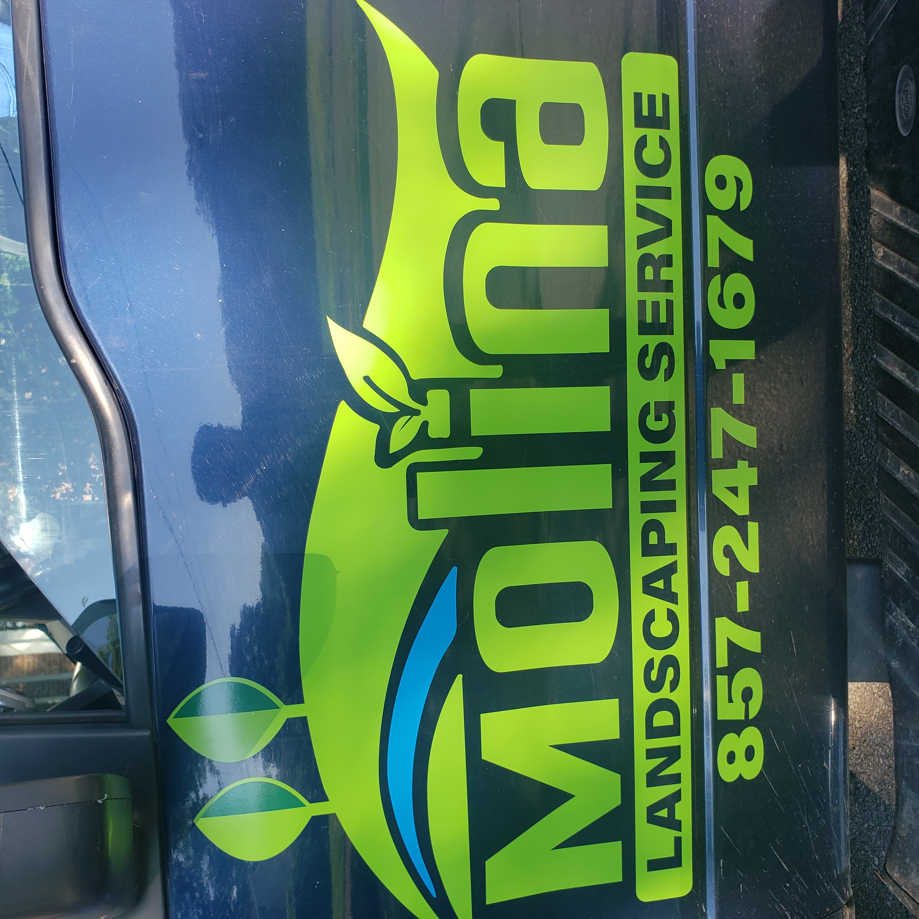 Molina llc logo