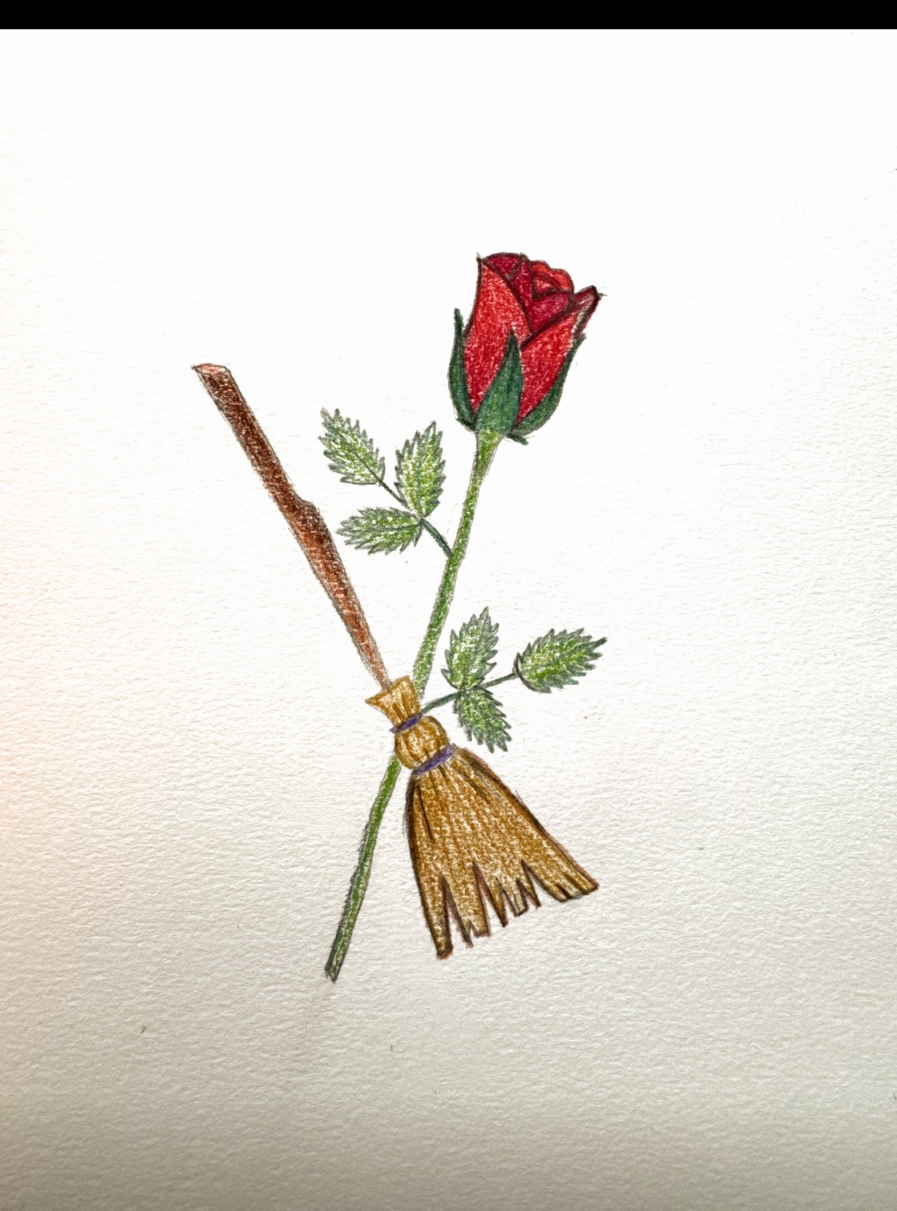 Redbud cleaning logo
