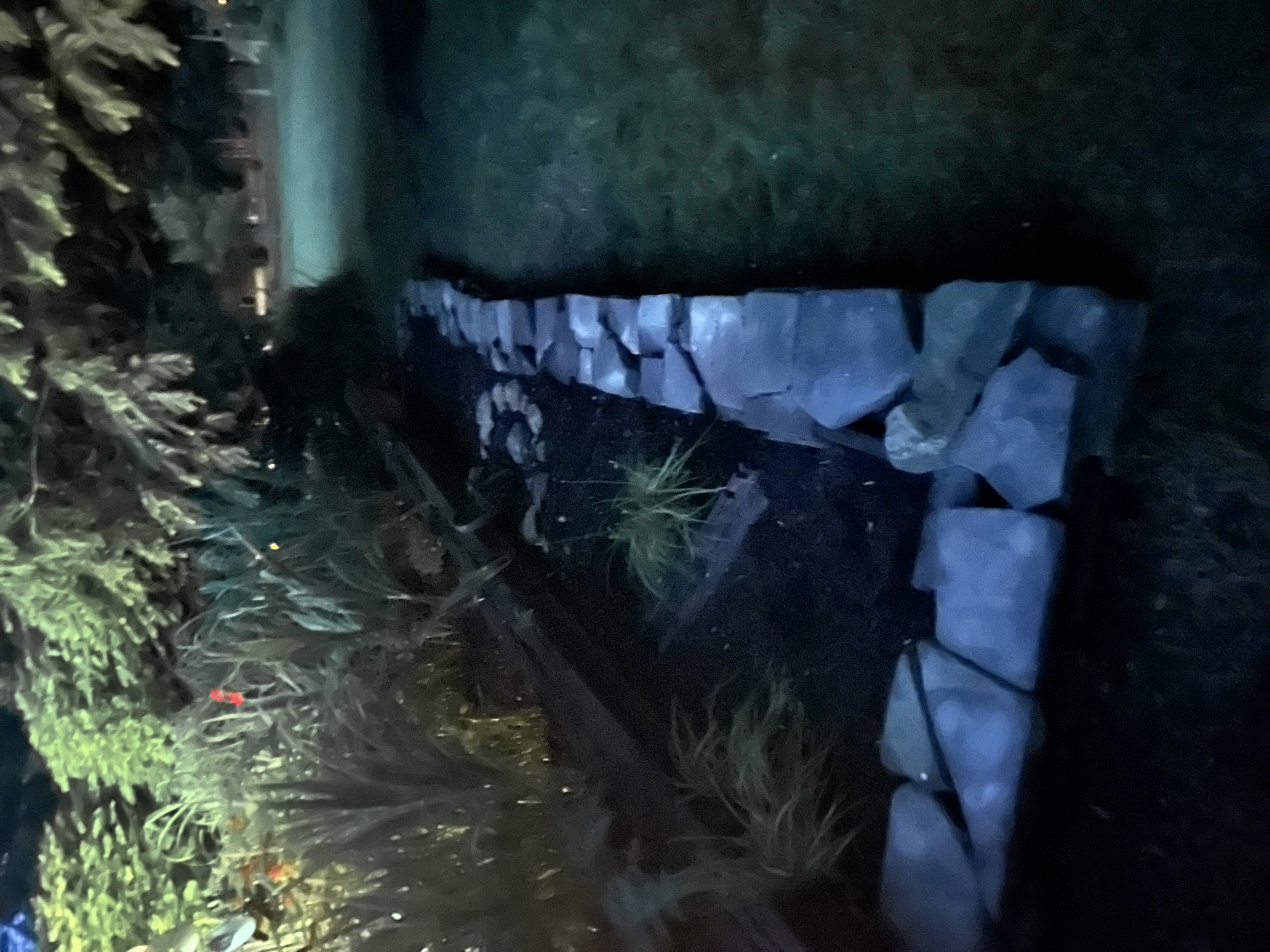 Avatar for Morgan&Nat LLC