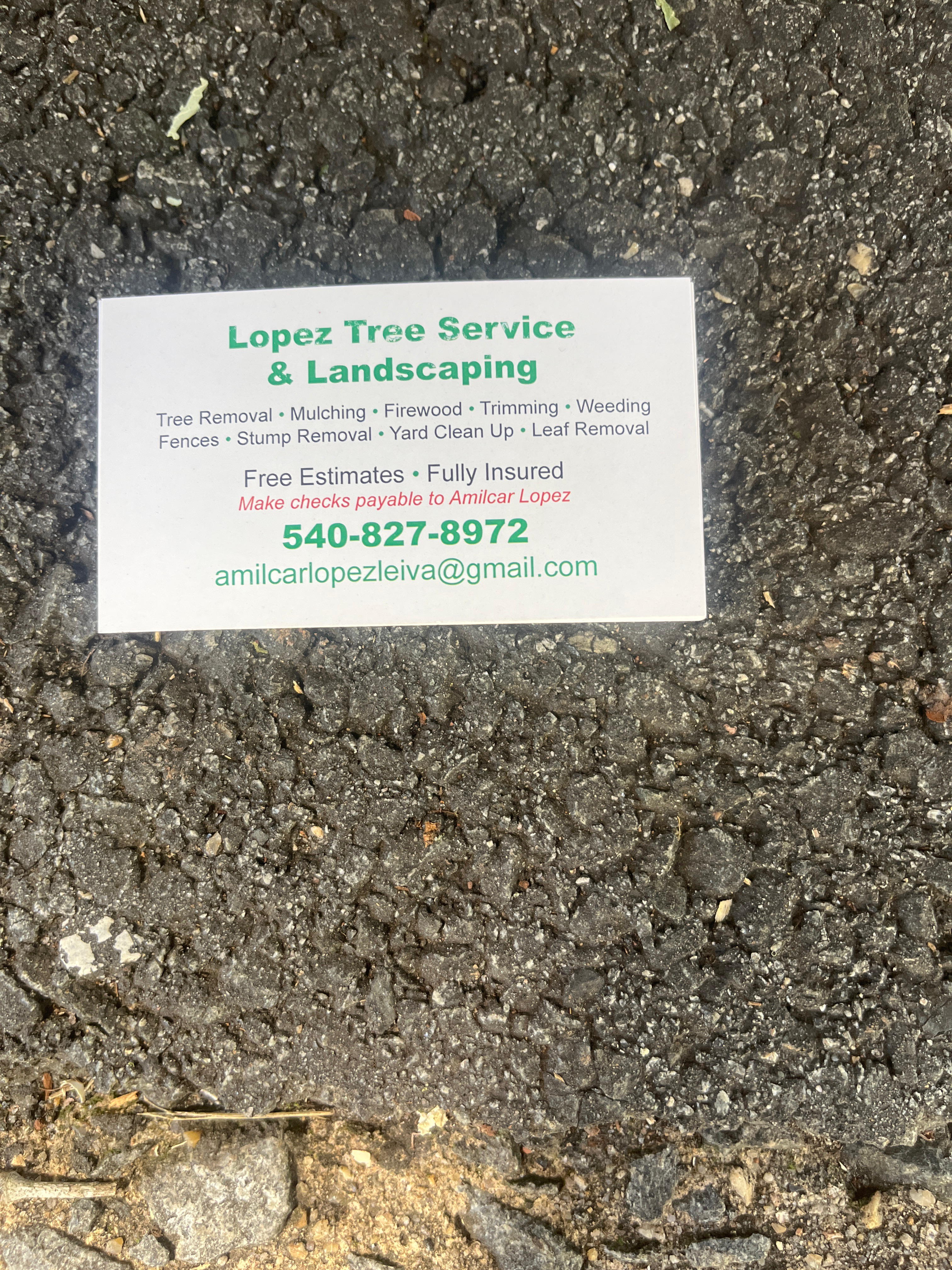 Avatar for Lopez Tree Service