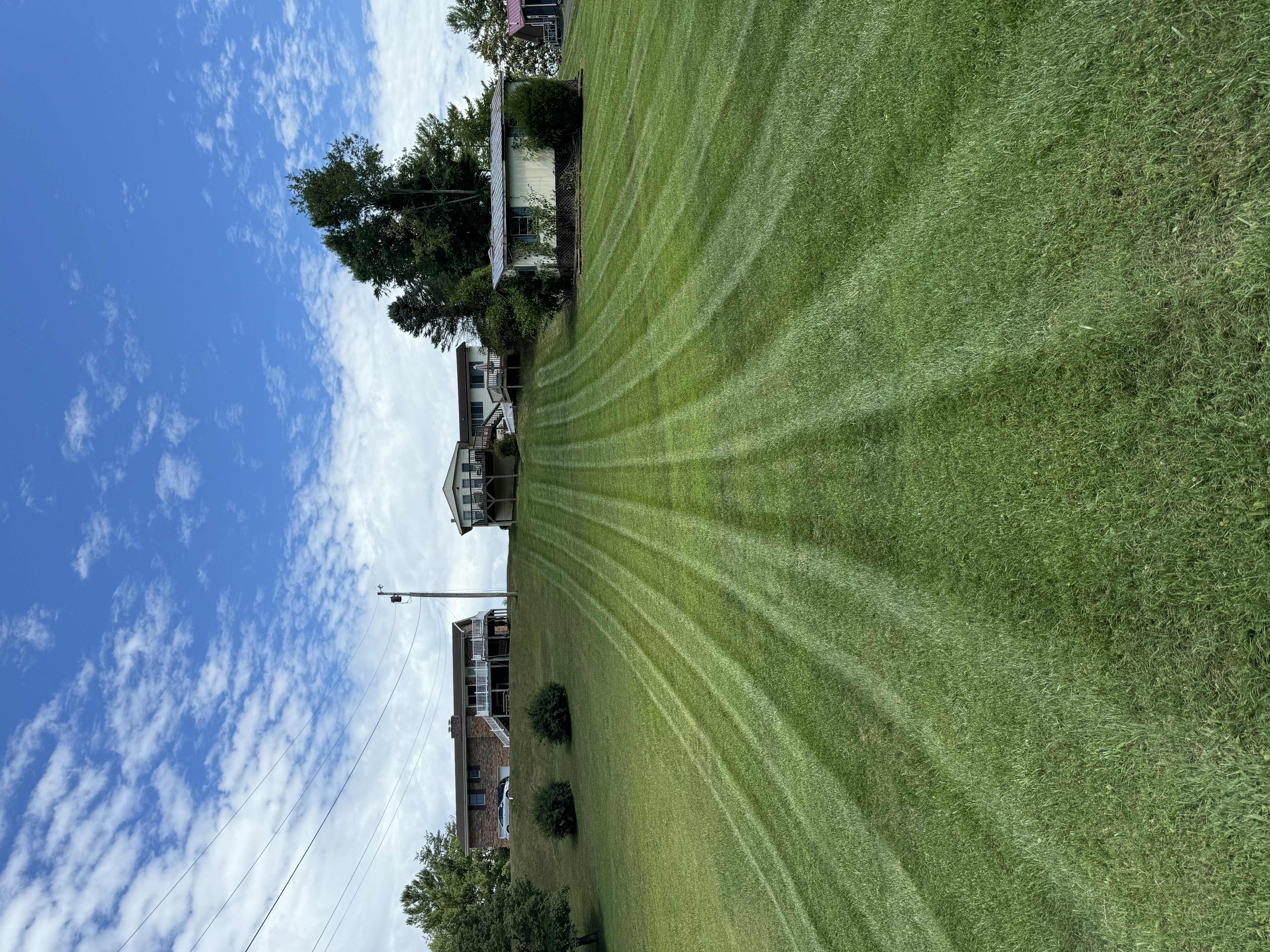 Avatar for Native Lawn care