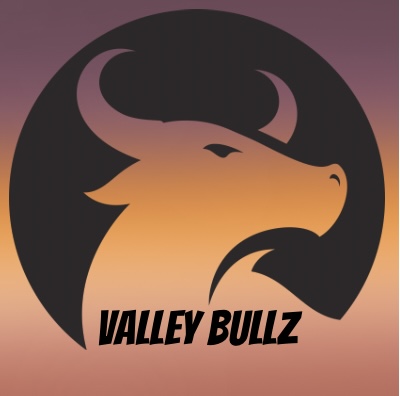 Valley Bullz logo