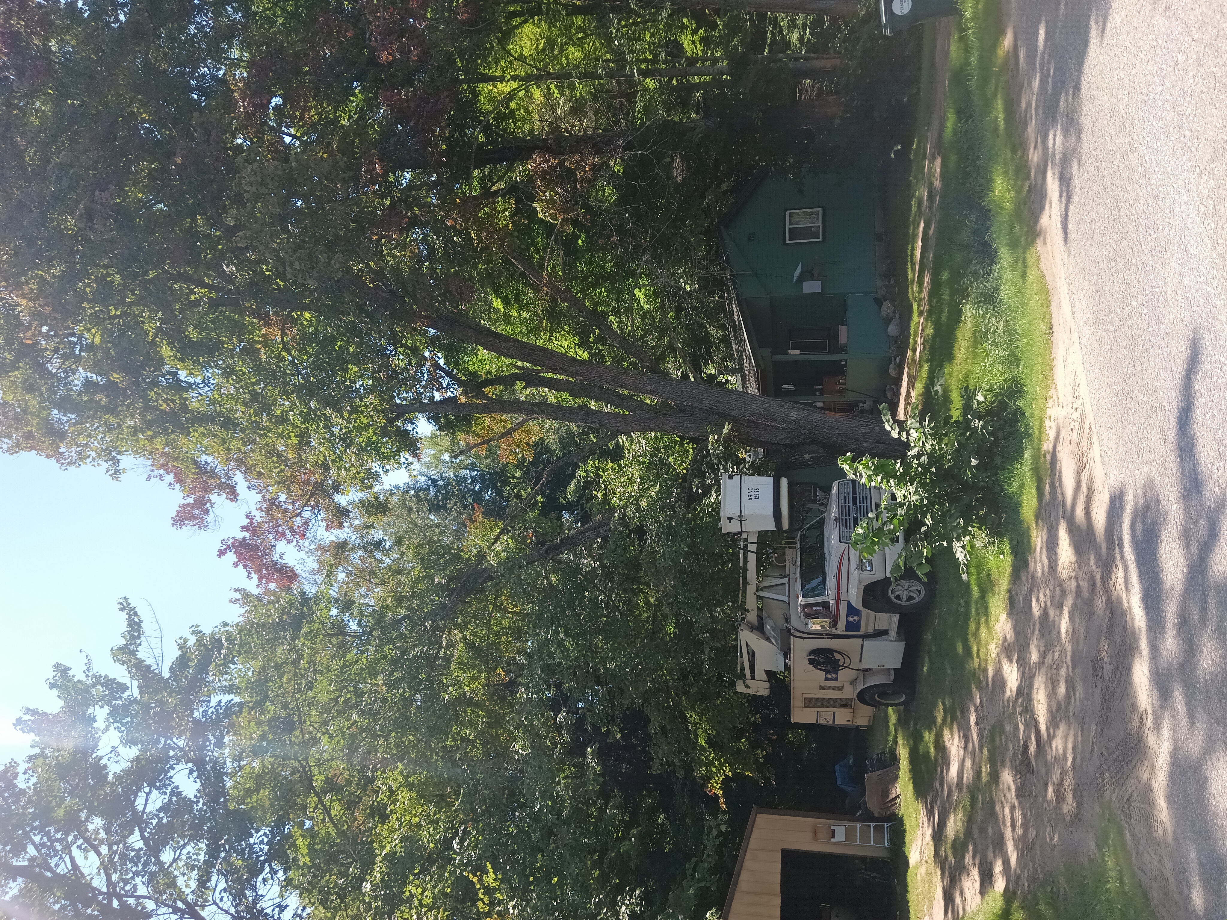 Precisionary Tree Service logo