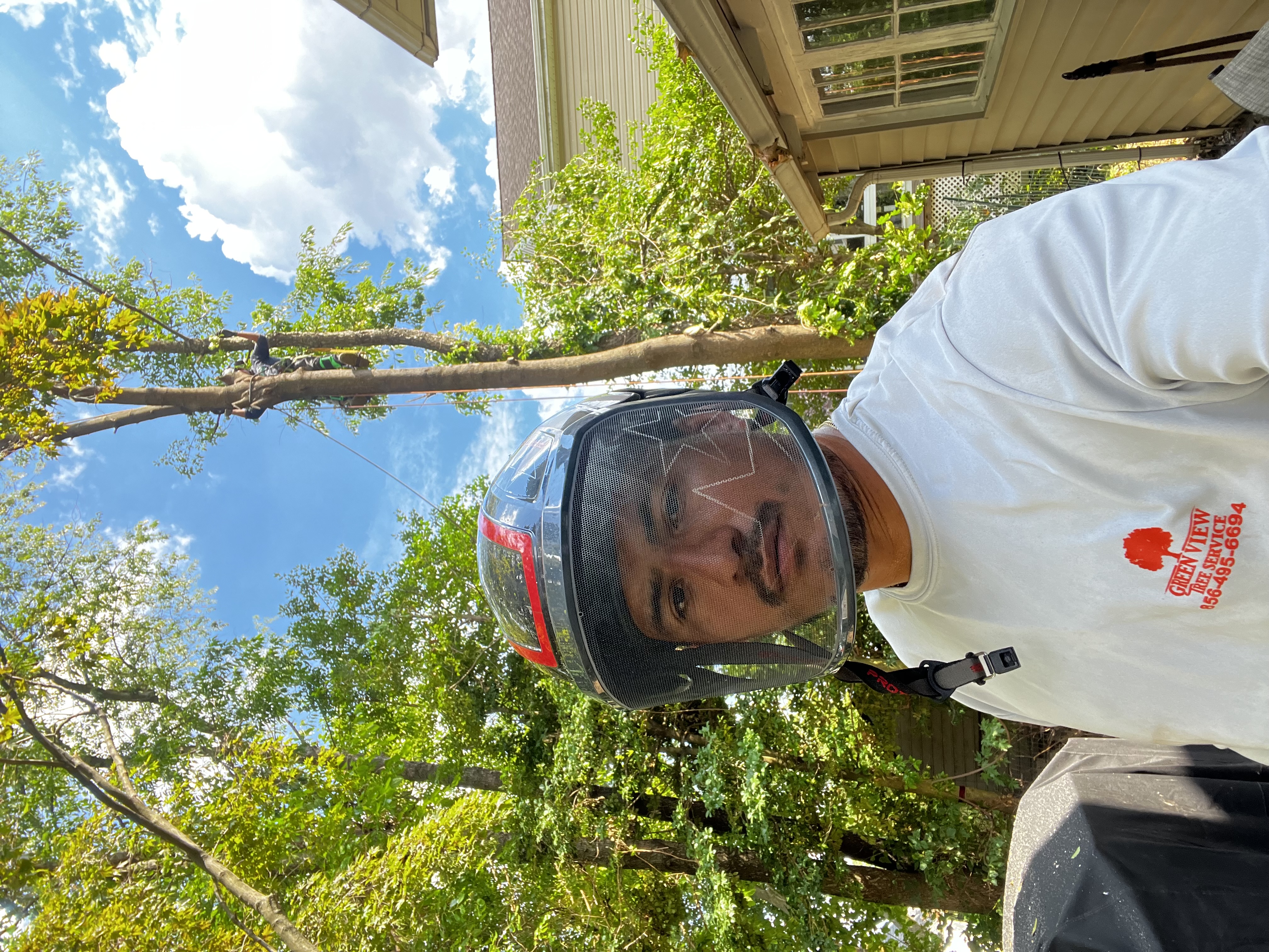 Avatar for Green View Tree Service 🌳