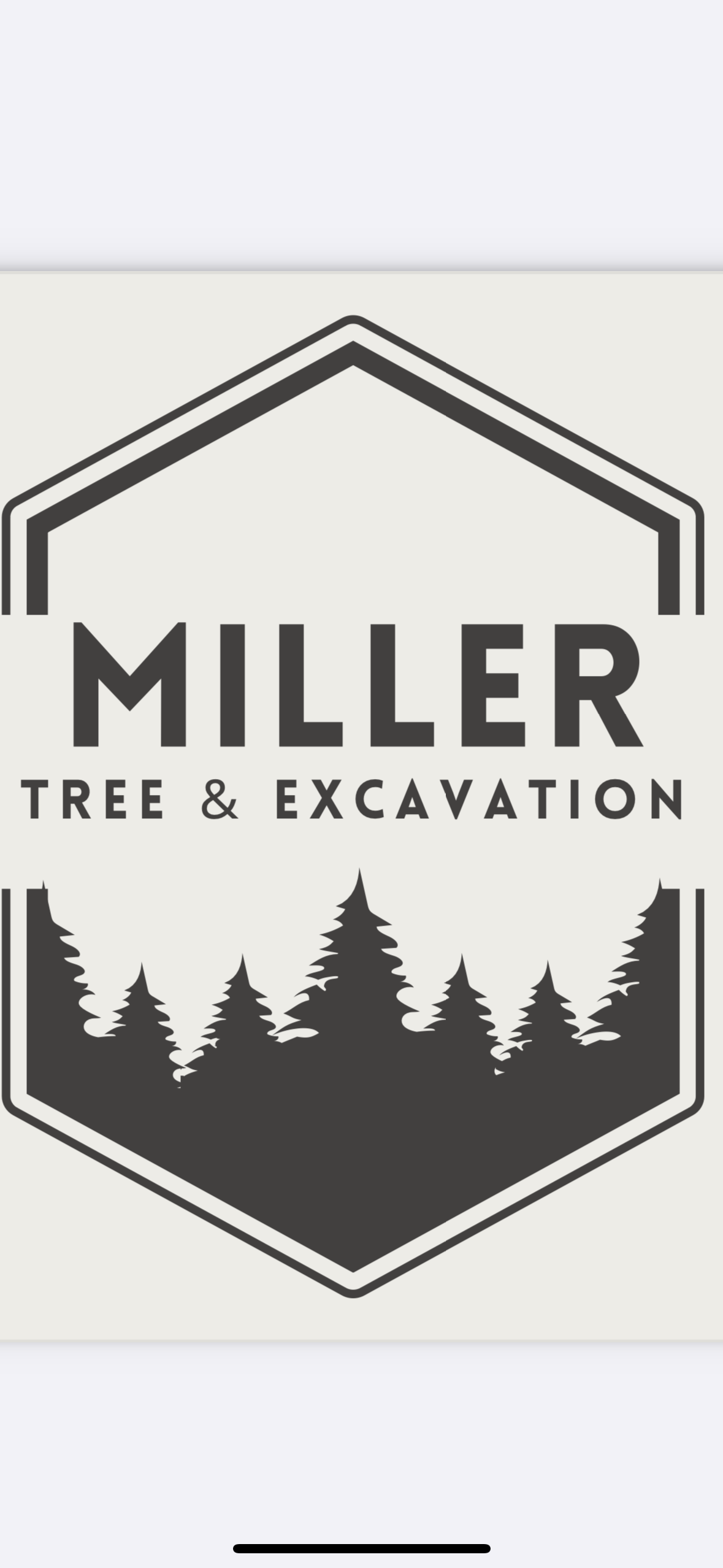 Avatar for Miller Tree and Excavation