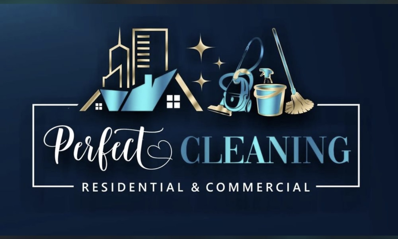 Avatar for Perfect cleaning