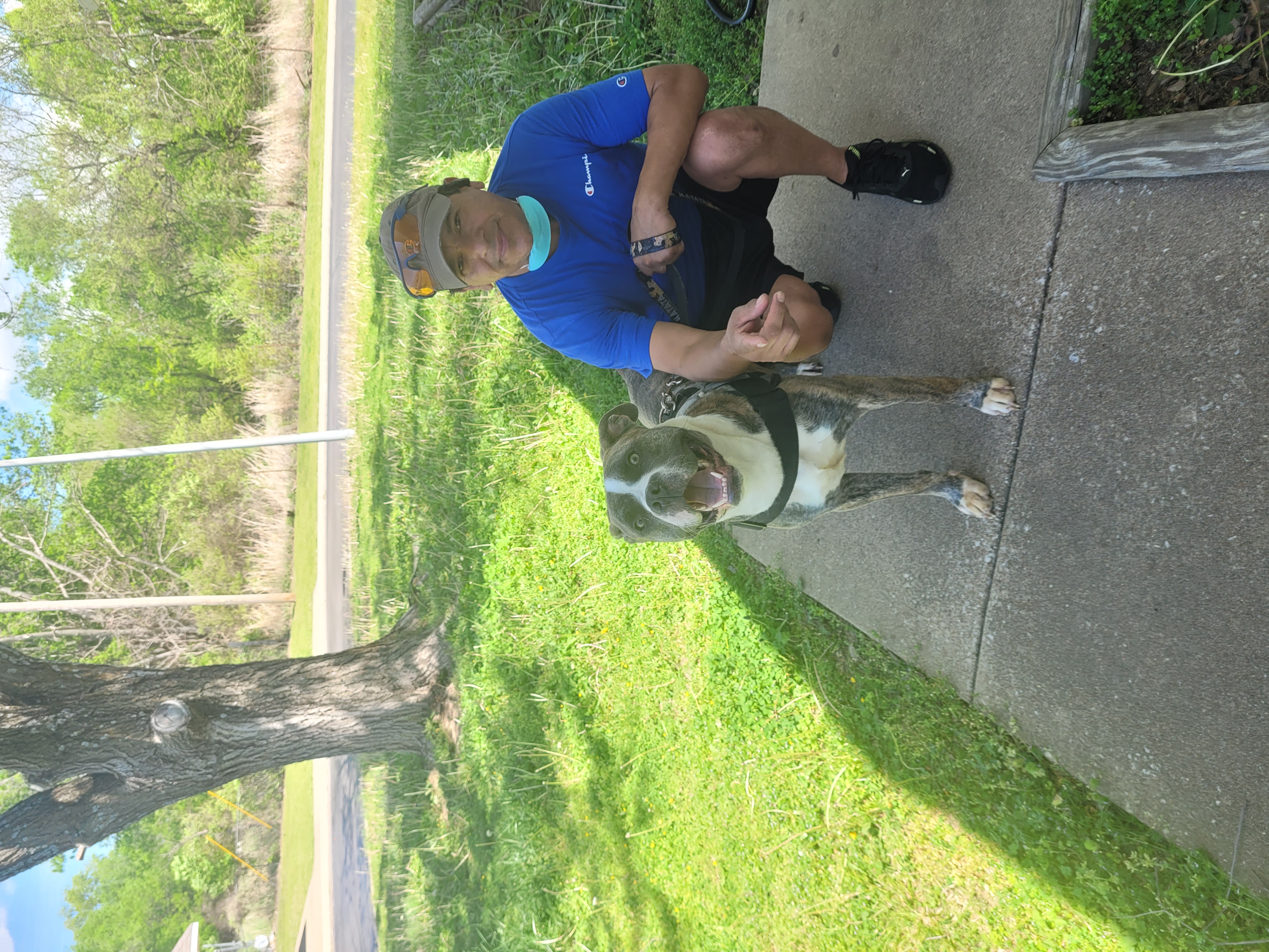 Pizana powerwashing logo