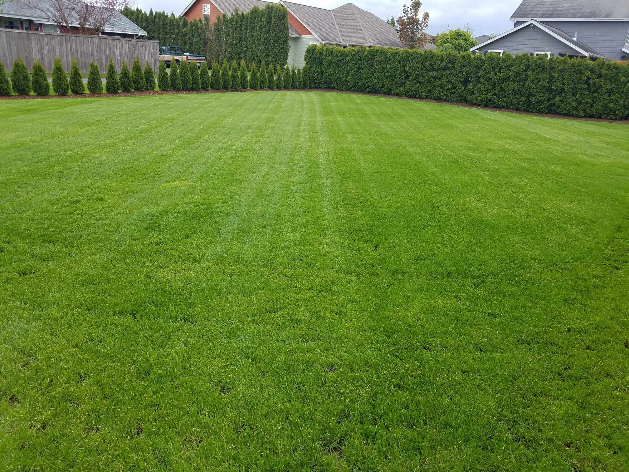 CJ Mowing logo