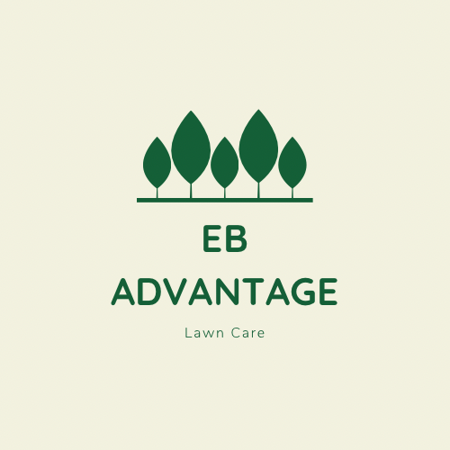 Avatar for EB ADVANTAGE