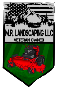Avatar for MR Landscaping LLC