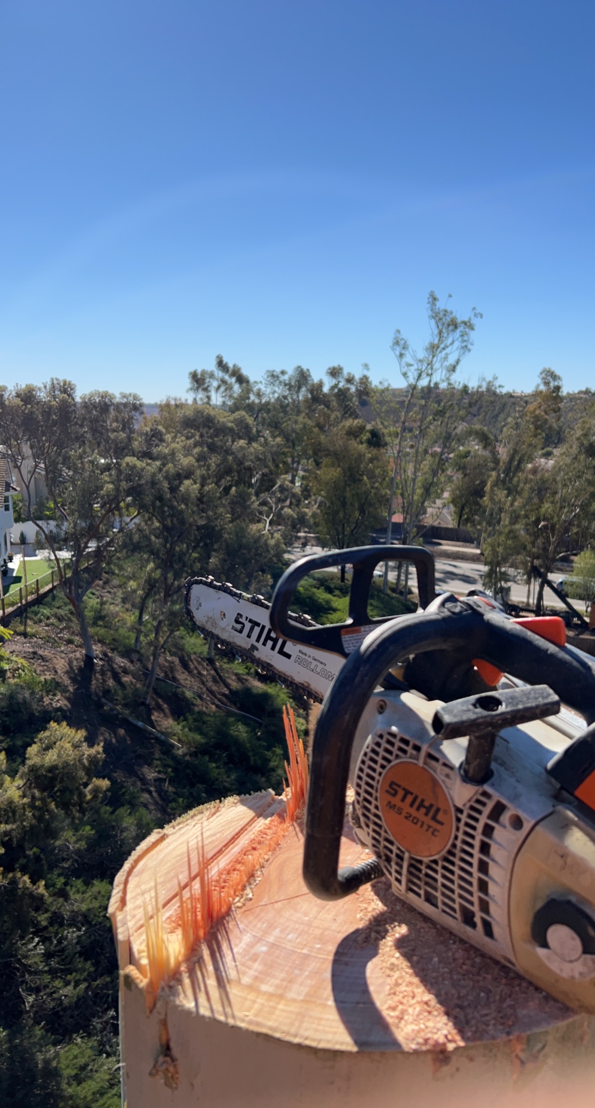 Elite Arborist logo