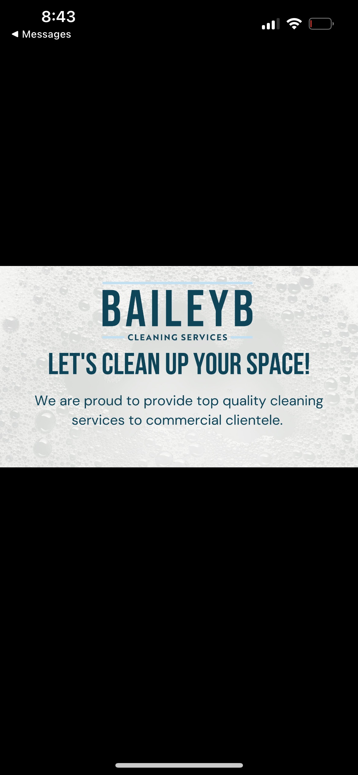 BaileyB cleaning service logo