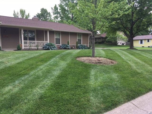 Broadwell Lawn Care Services logo
