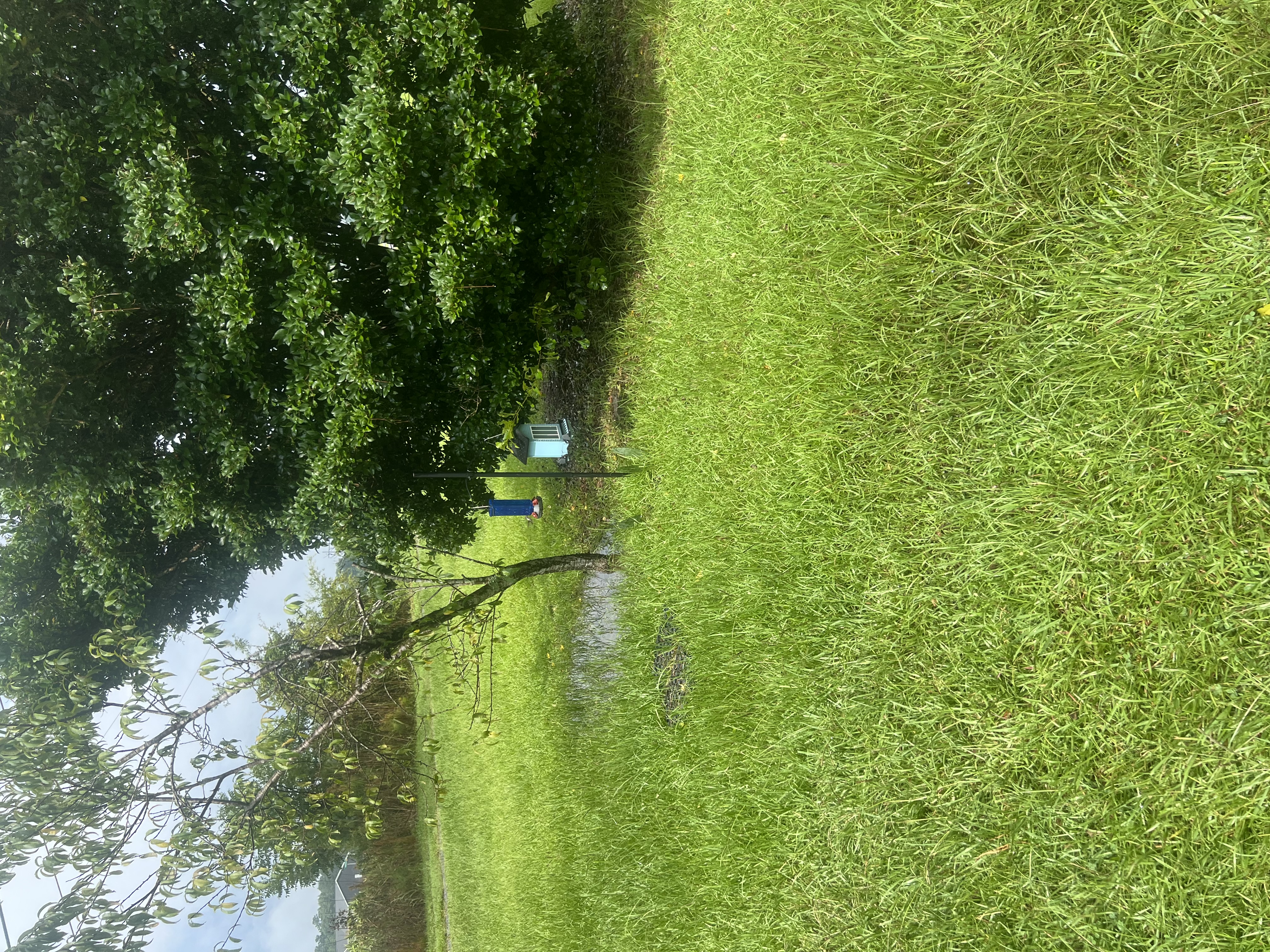 Avatar for Lawncare