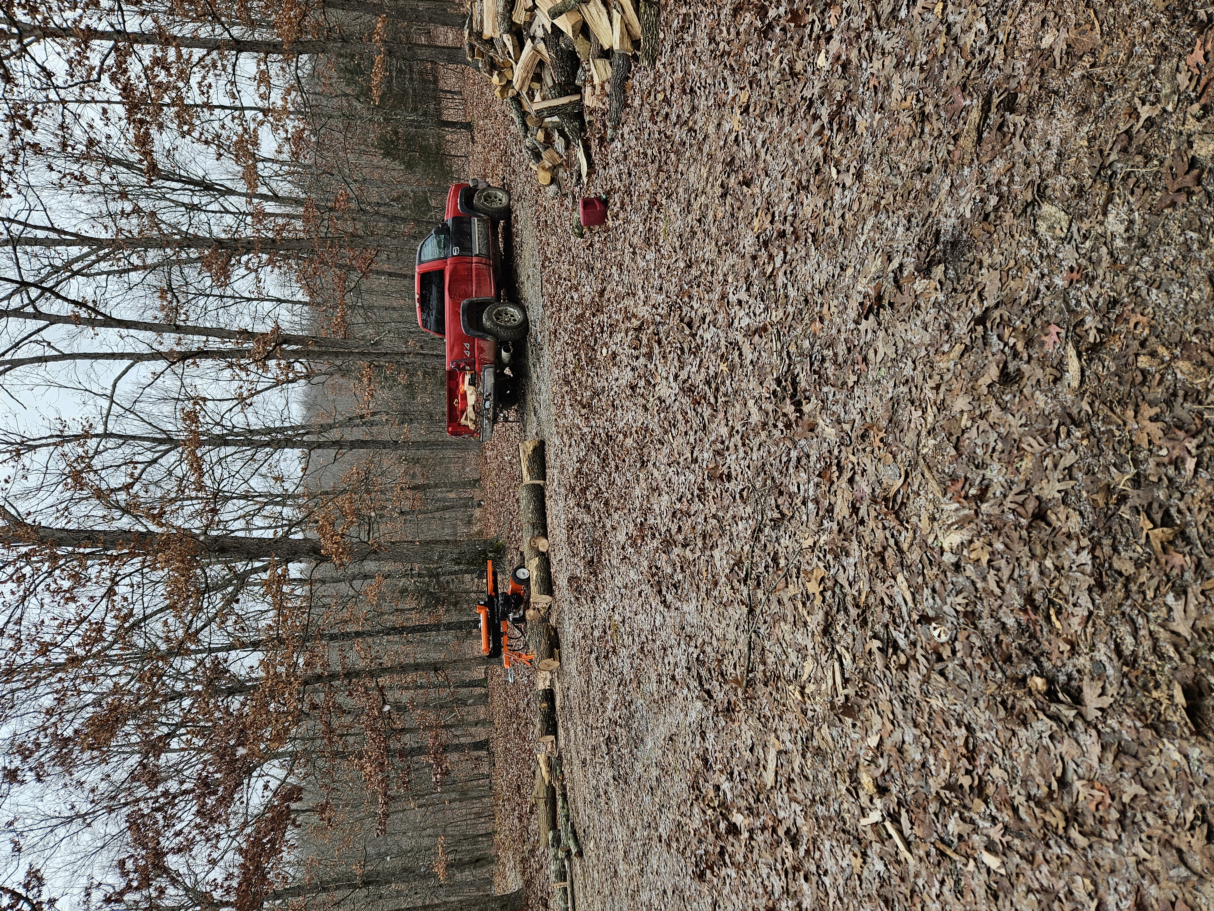 Letterman tree service logo