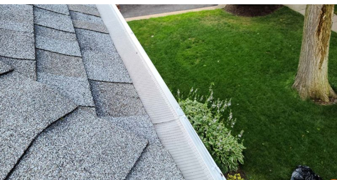 Avatar for We clean gutters