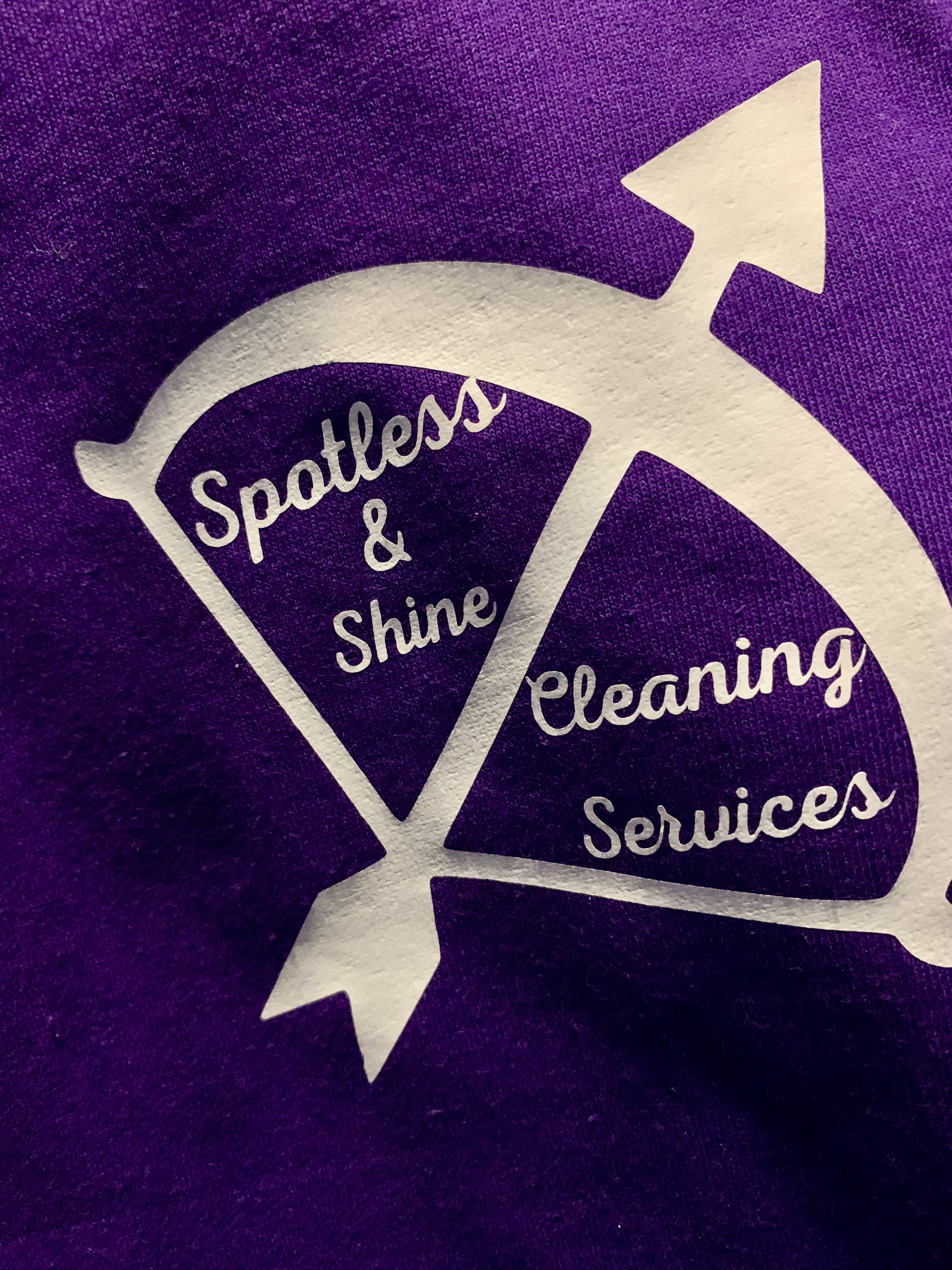 Spotless & Shine logo