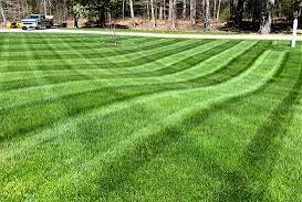 Bucio landscaping logo