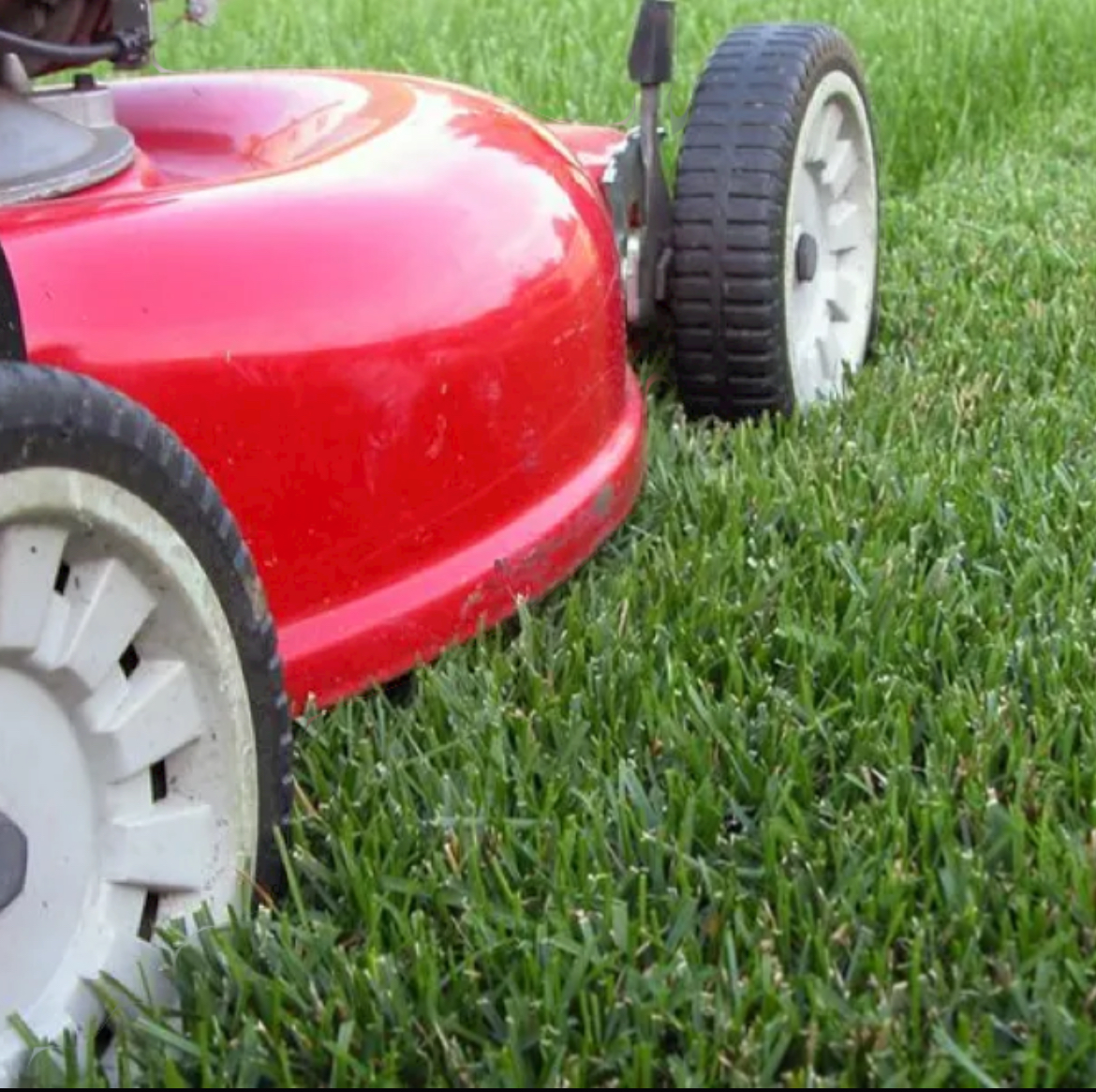 BNM LAWNCARE AND LEAF REMOVAL logo