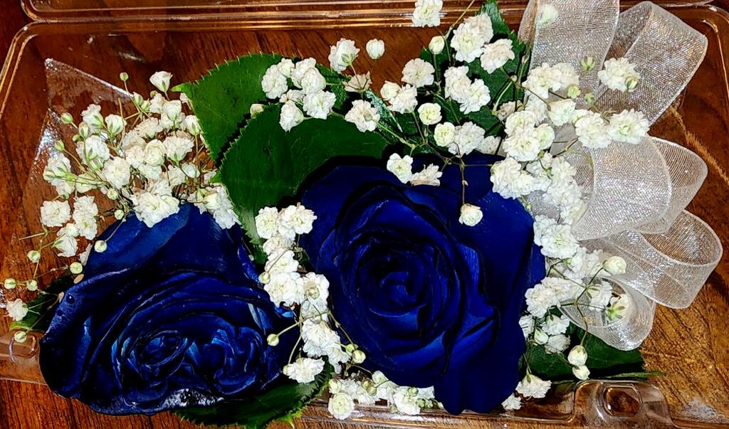 Avatar for Aly's cleaning service