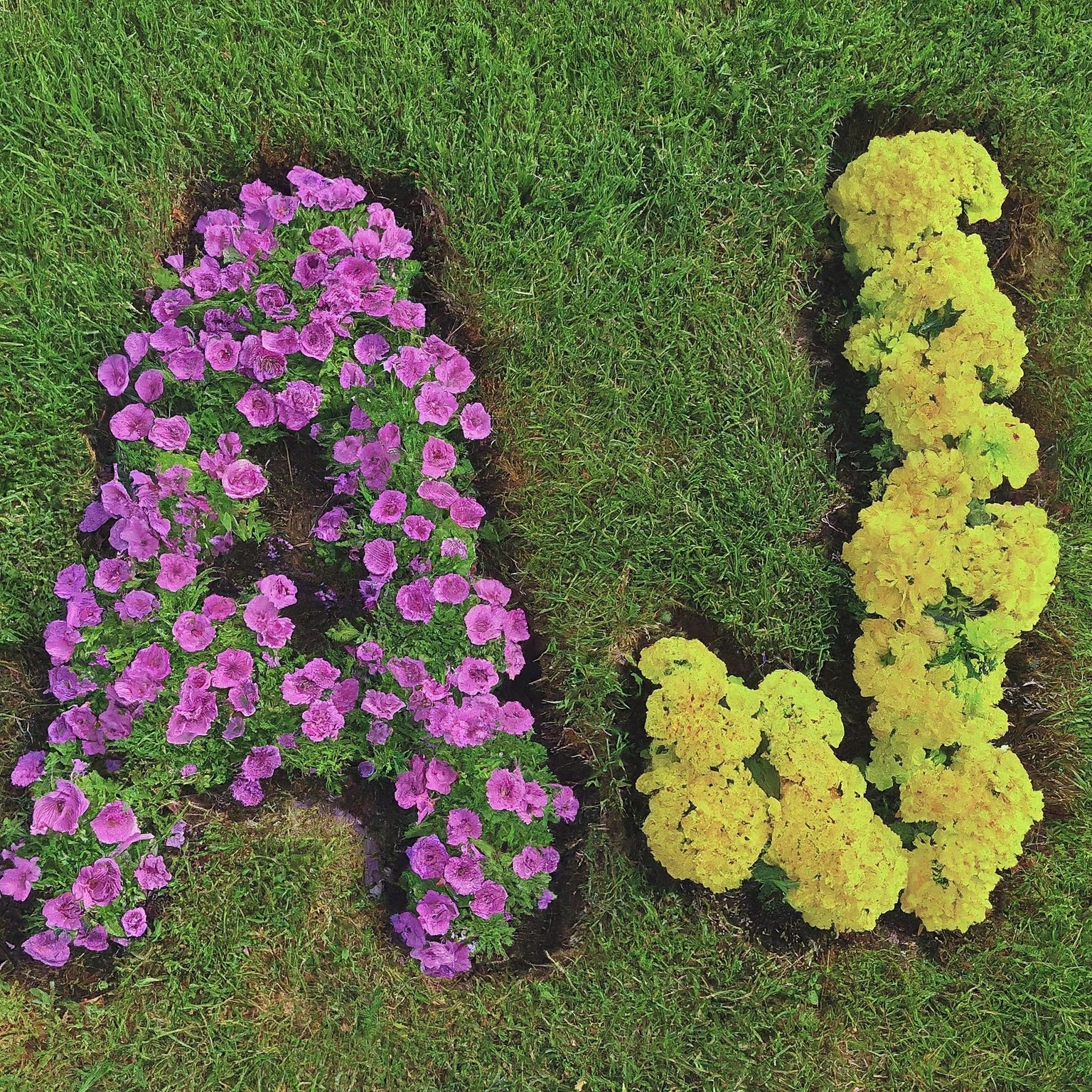 Avatar for A&J landscaping.