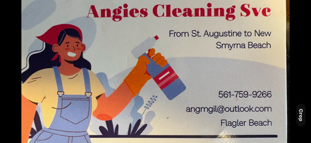 Logo for Angie's Cleaning SVC