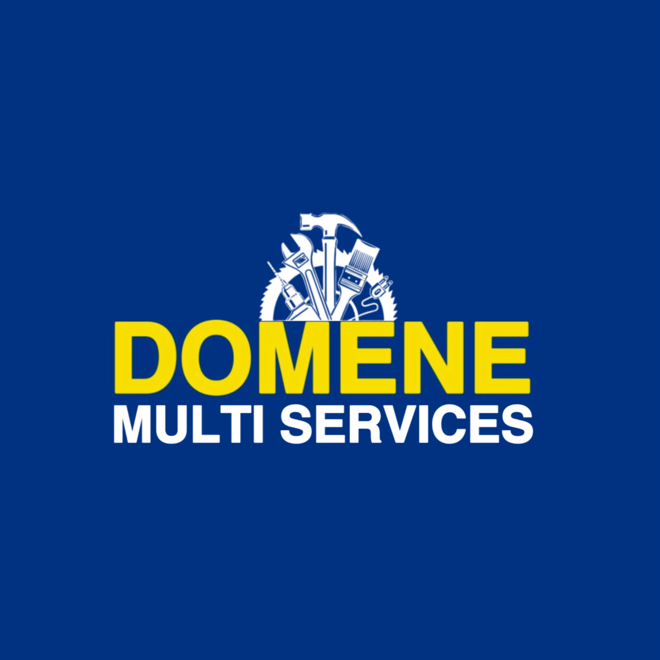 Domene Multi Services logo