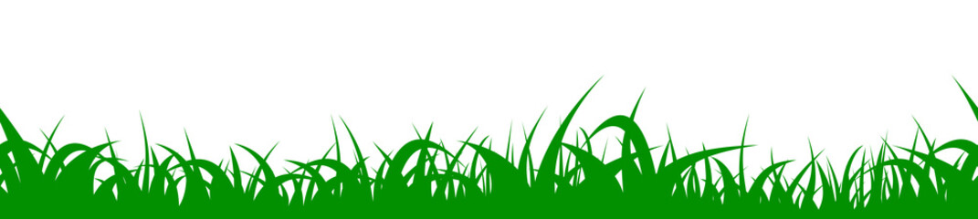 Todd logo