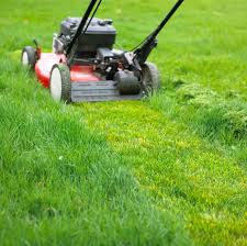 Juan Lawn Service logo