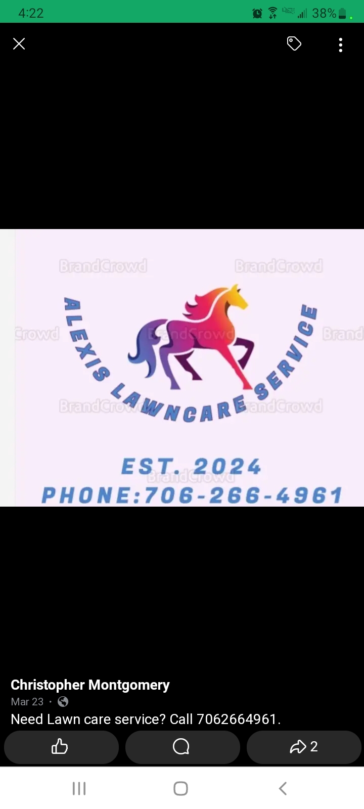 Alexis Lawncare logo