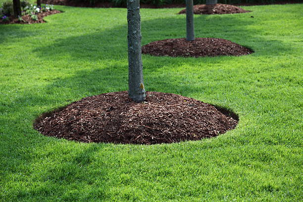 GREEN SPACE Landscaping logo