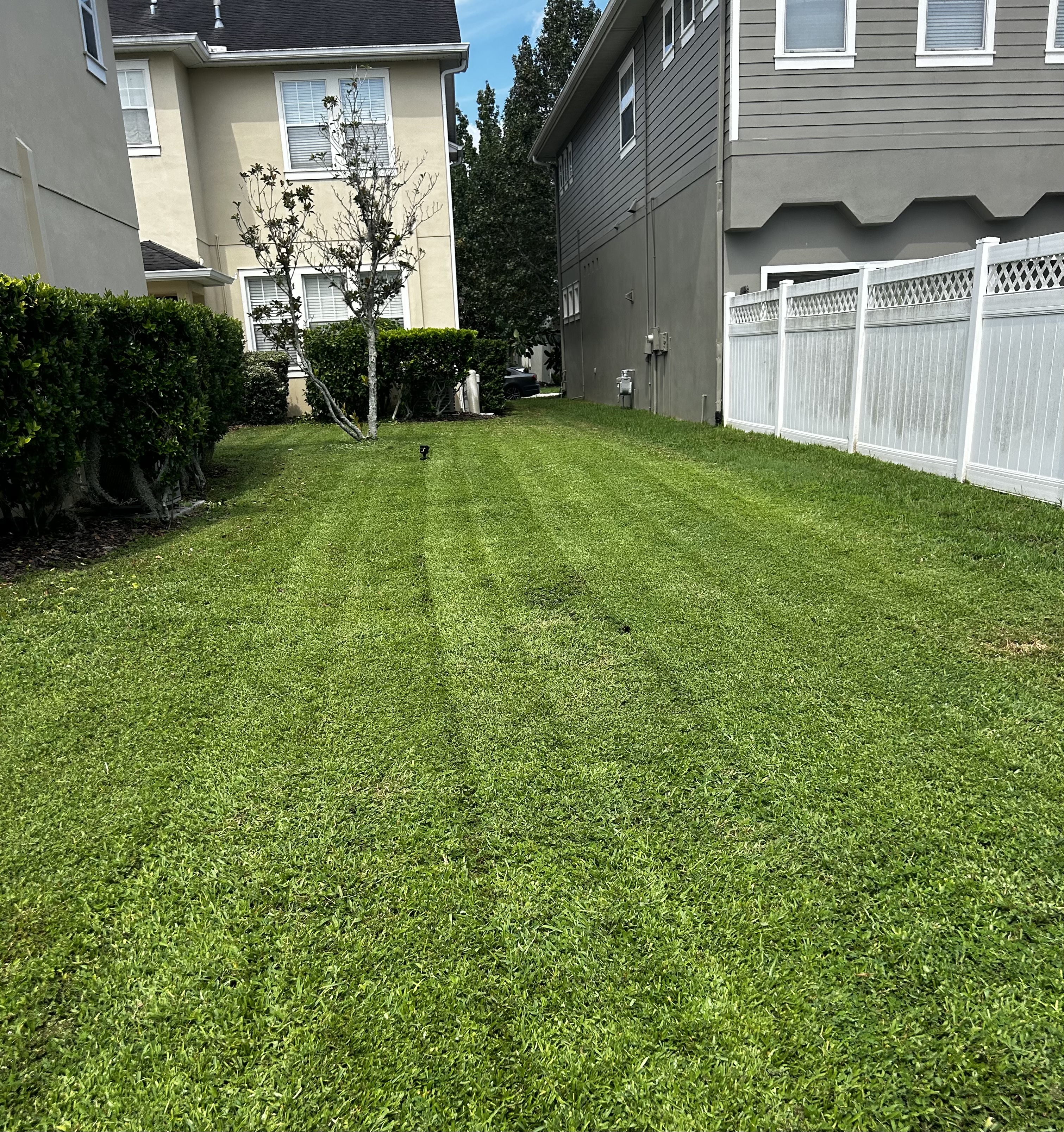 Avatar for Marzano Lawn Care