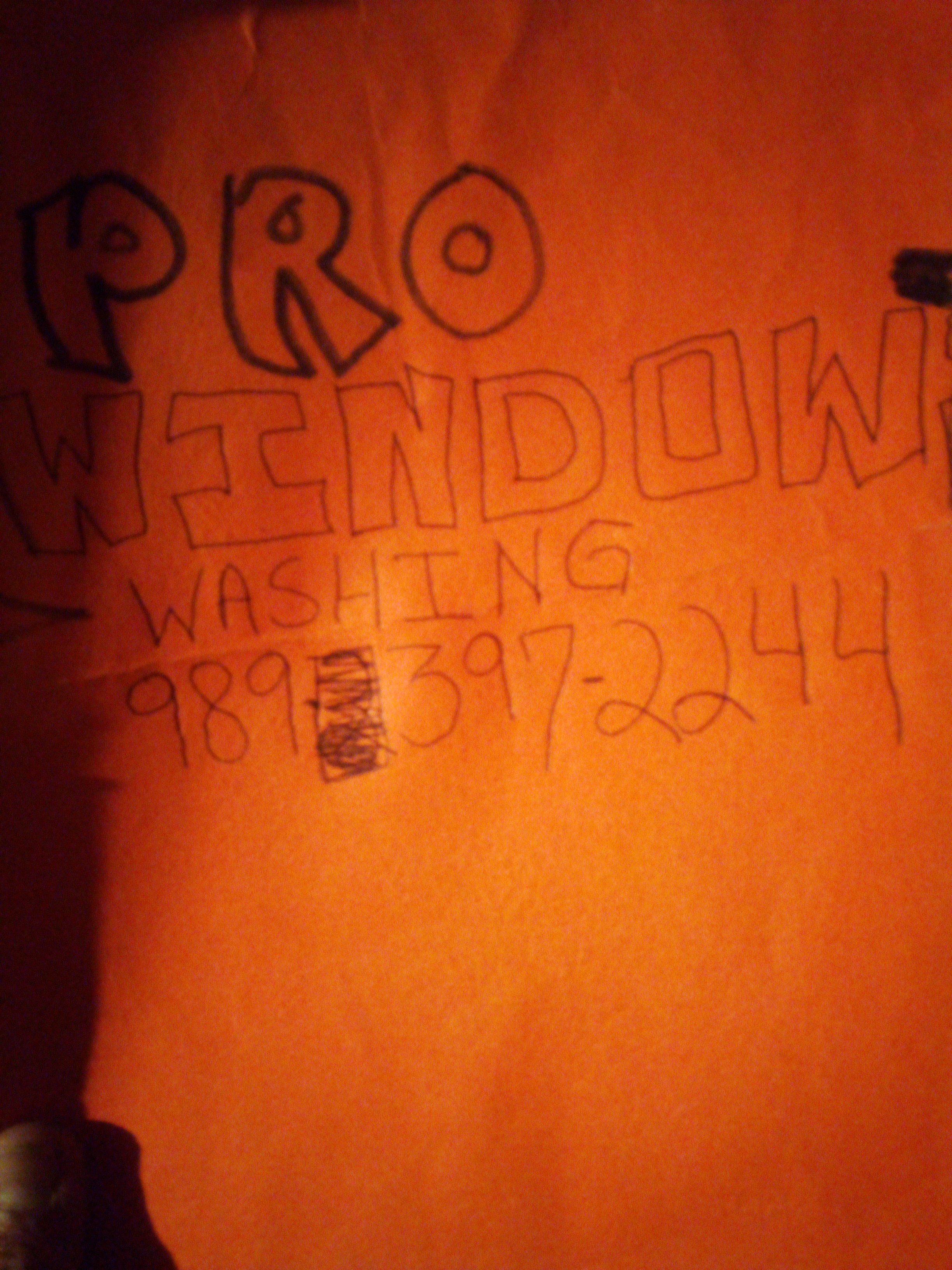 Pro window washing logo