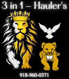 Avatar for 3 in 1 Hauler’s